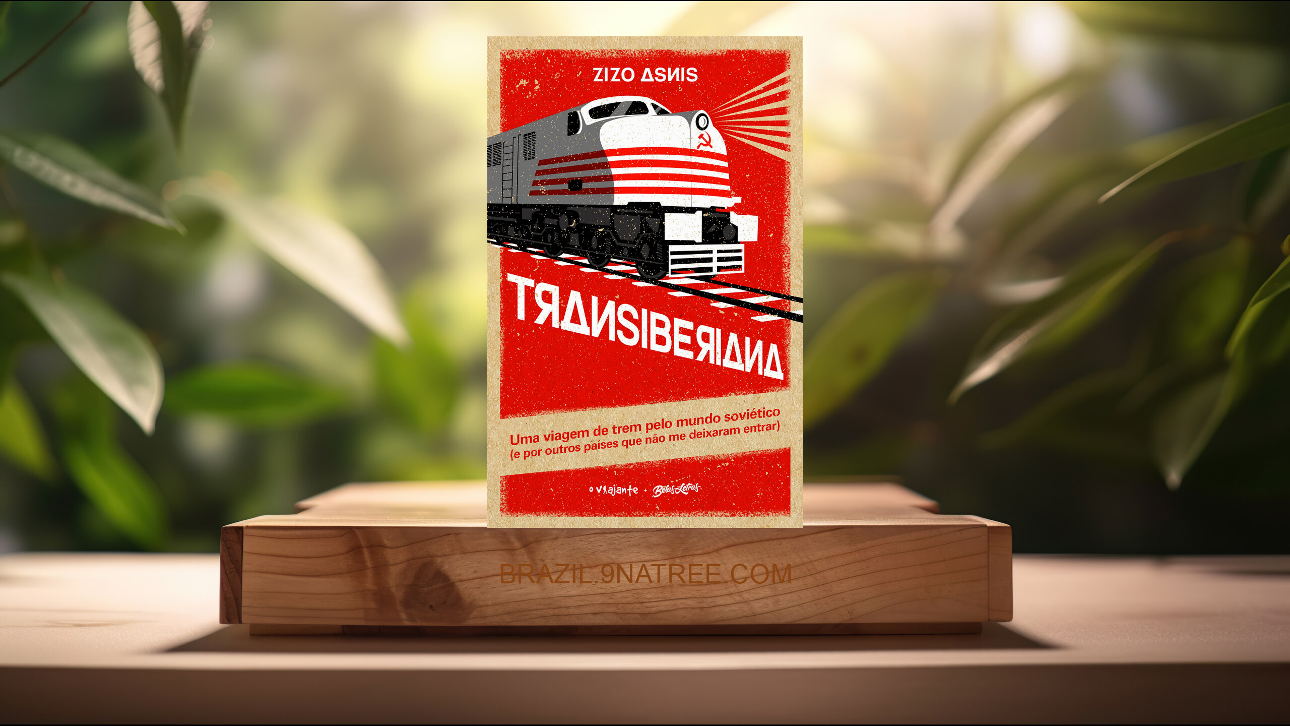 [Análises] Transiberiana: uma viagem de trem pelo mundo soviético  (Zizo Asnis) Resumidos.