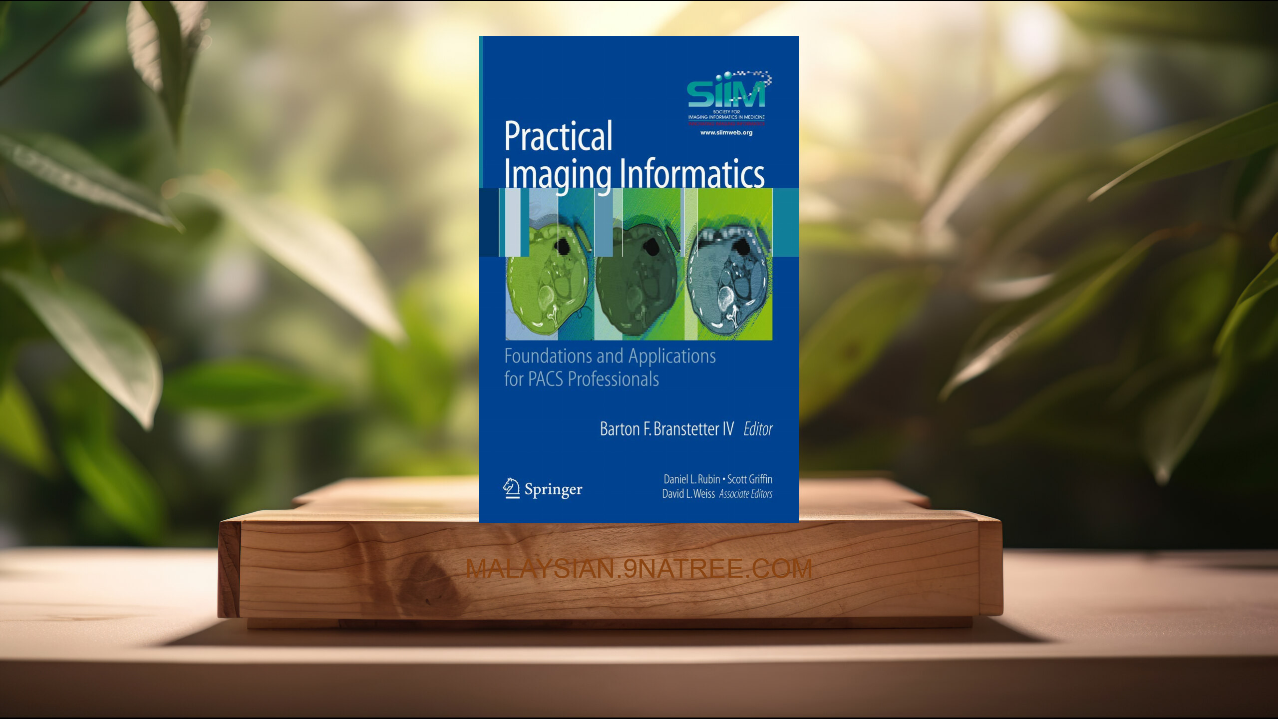 [Ulasan] Practical Imaging Informatics (Barton F. Branstetter IV) Diringkaskan.