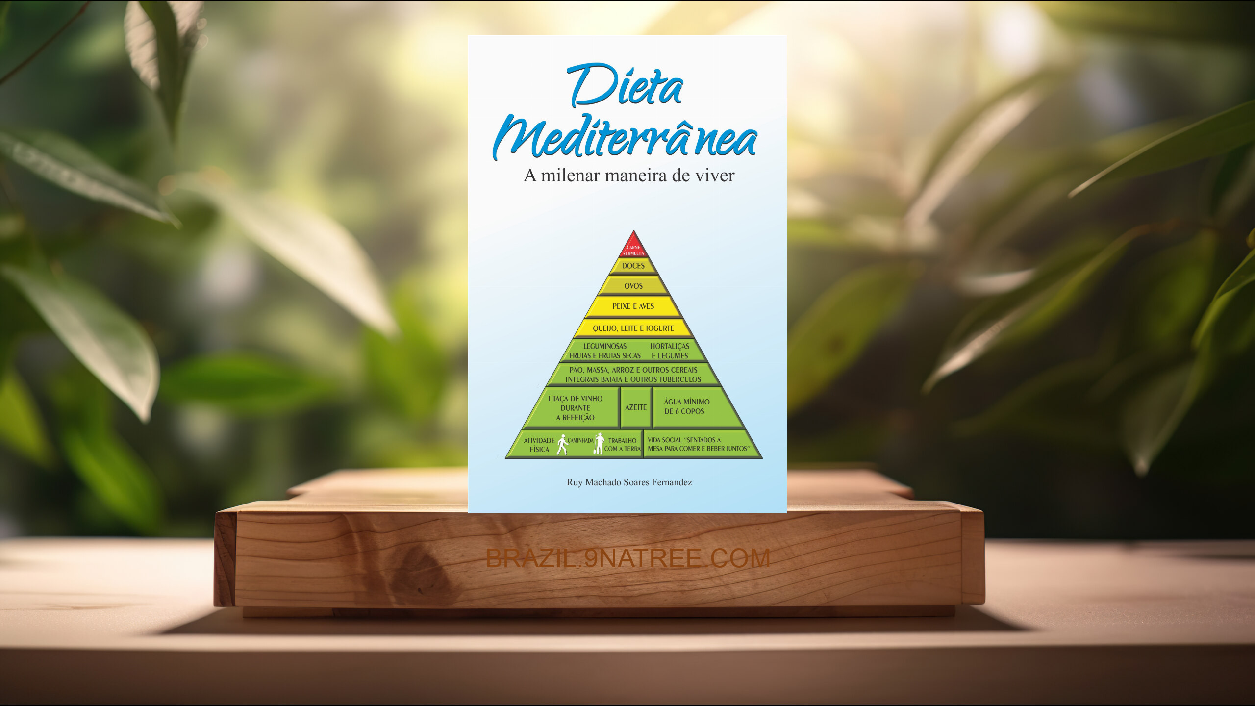 [Análises] Dieta Mediterrânea: A milenar maneira de viver (Ruy Machado Soares Fernandez) Resumidos.