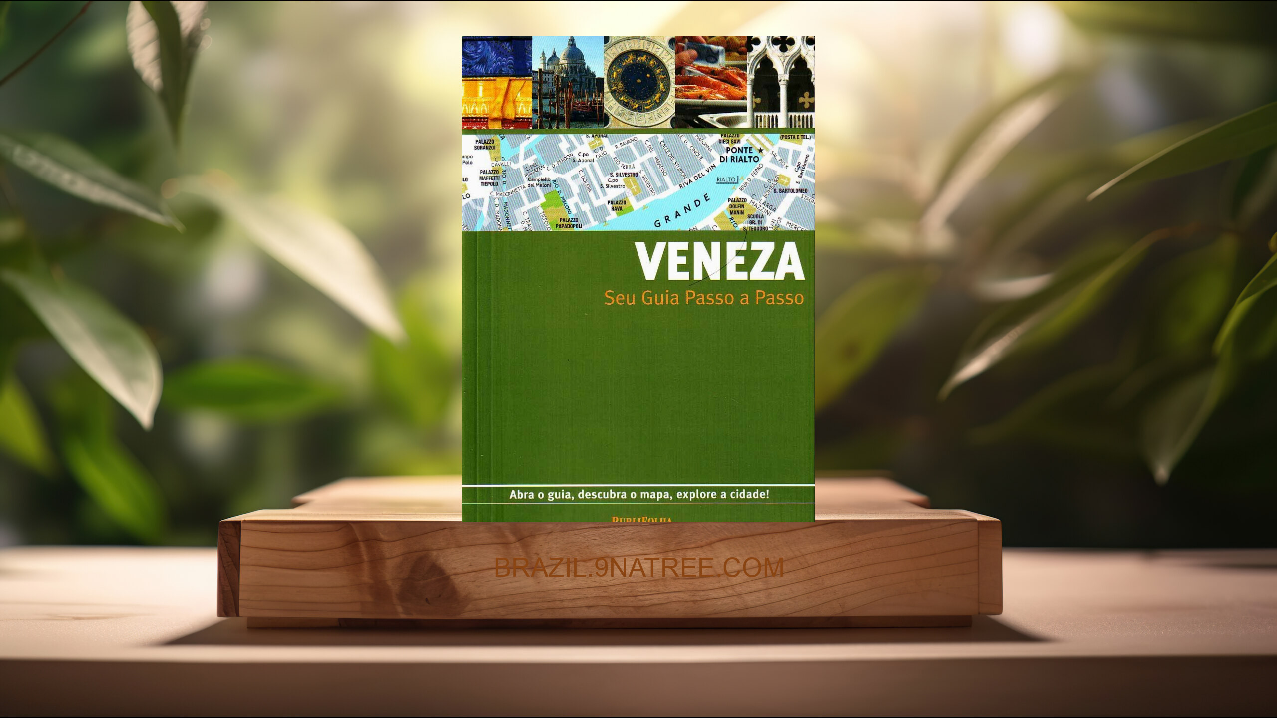 [Análises] Veneza. Guia Passo A Passo (Vários Autores) Resumidos.