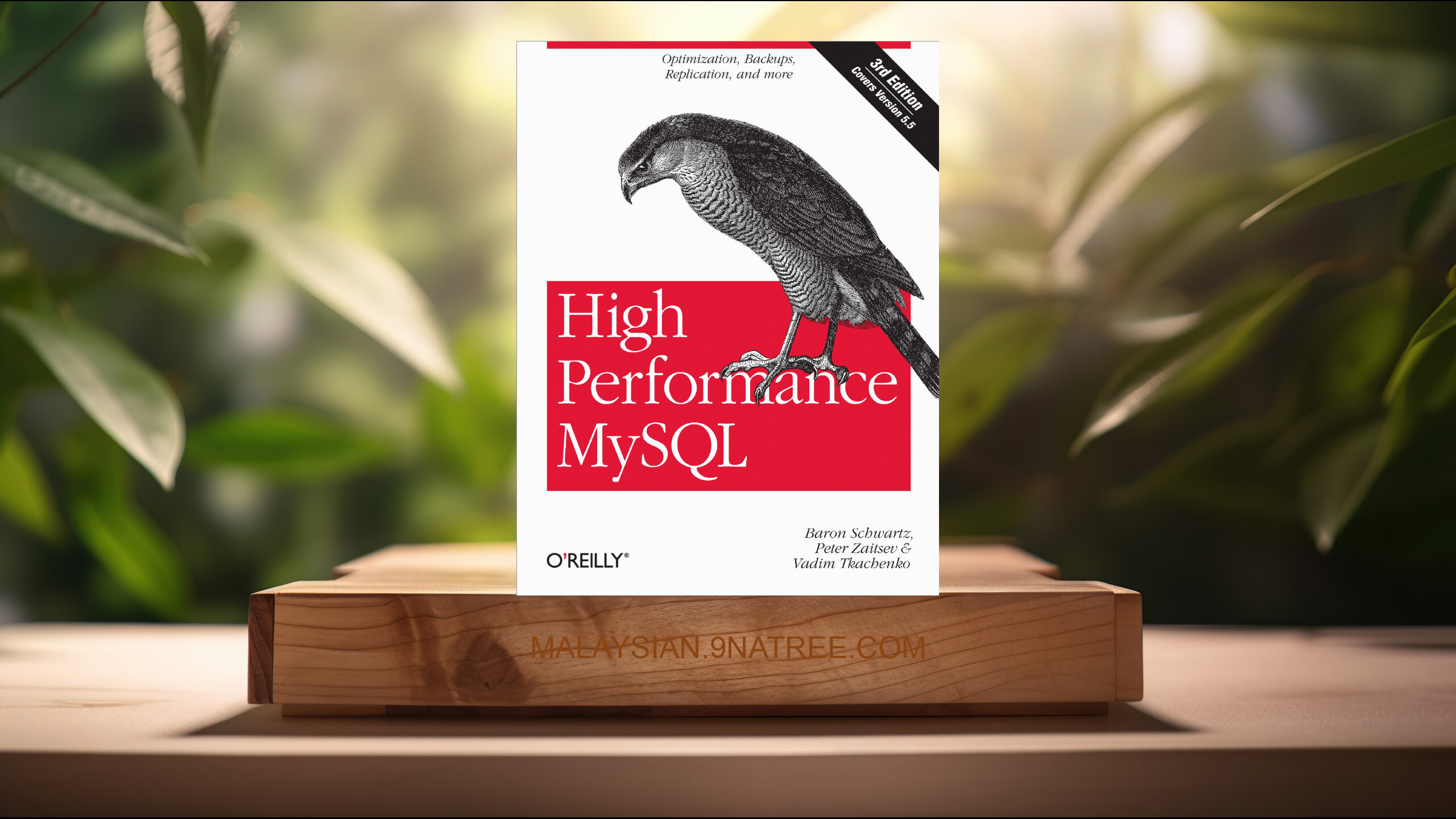 [Ulasan] High Performance MySQL: Optimization, Backups, and Replication (Baron Schwartz) Diringkaskan.