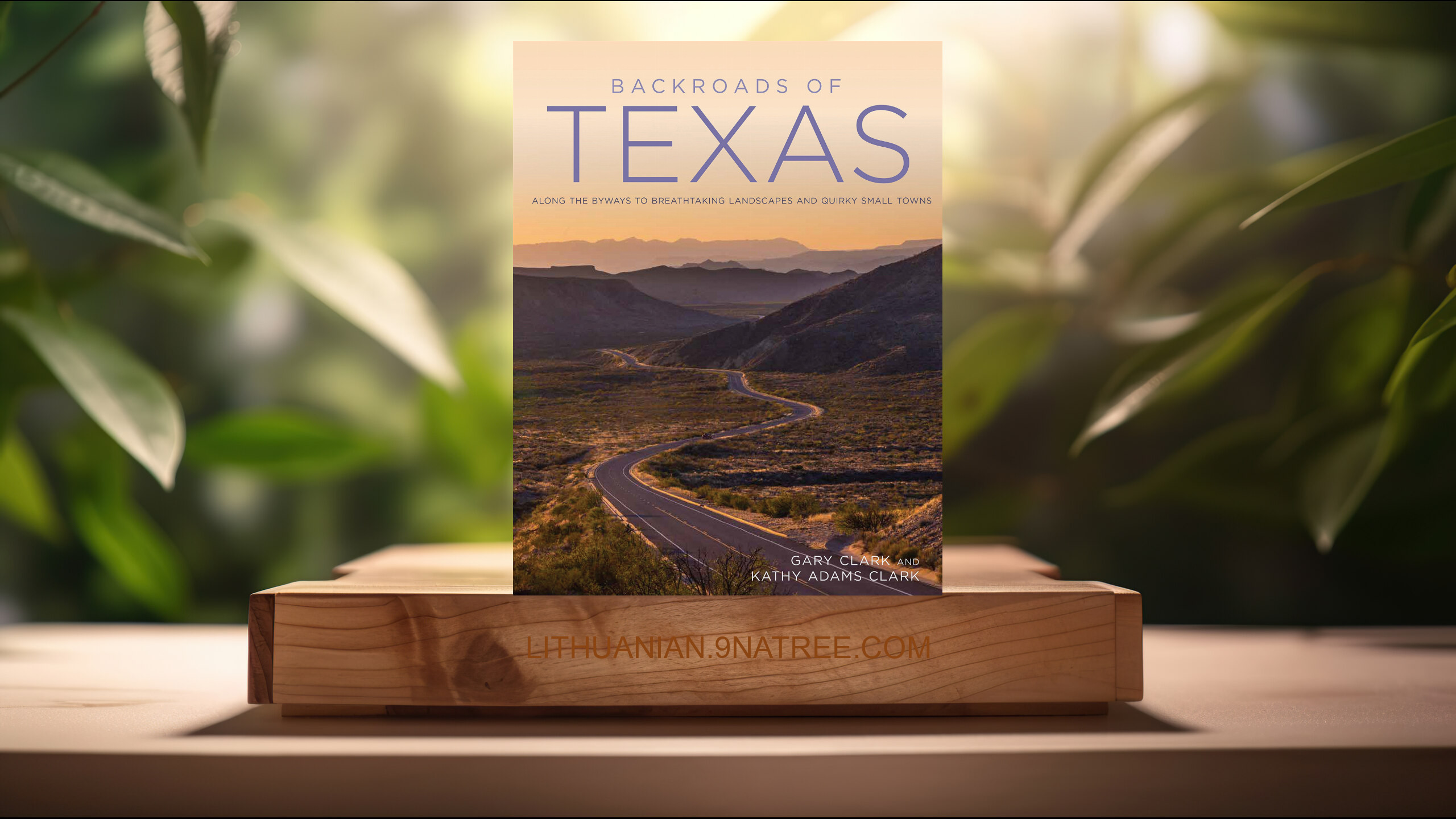 [Apžvalga] Backroads of Texas (Gary Clark) Apibendrinta.