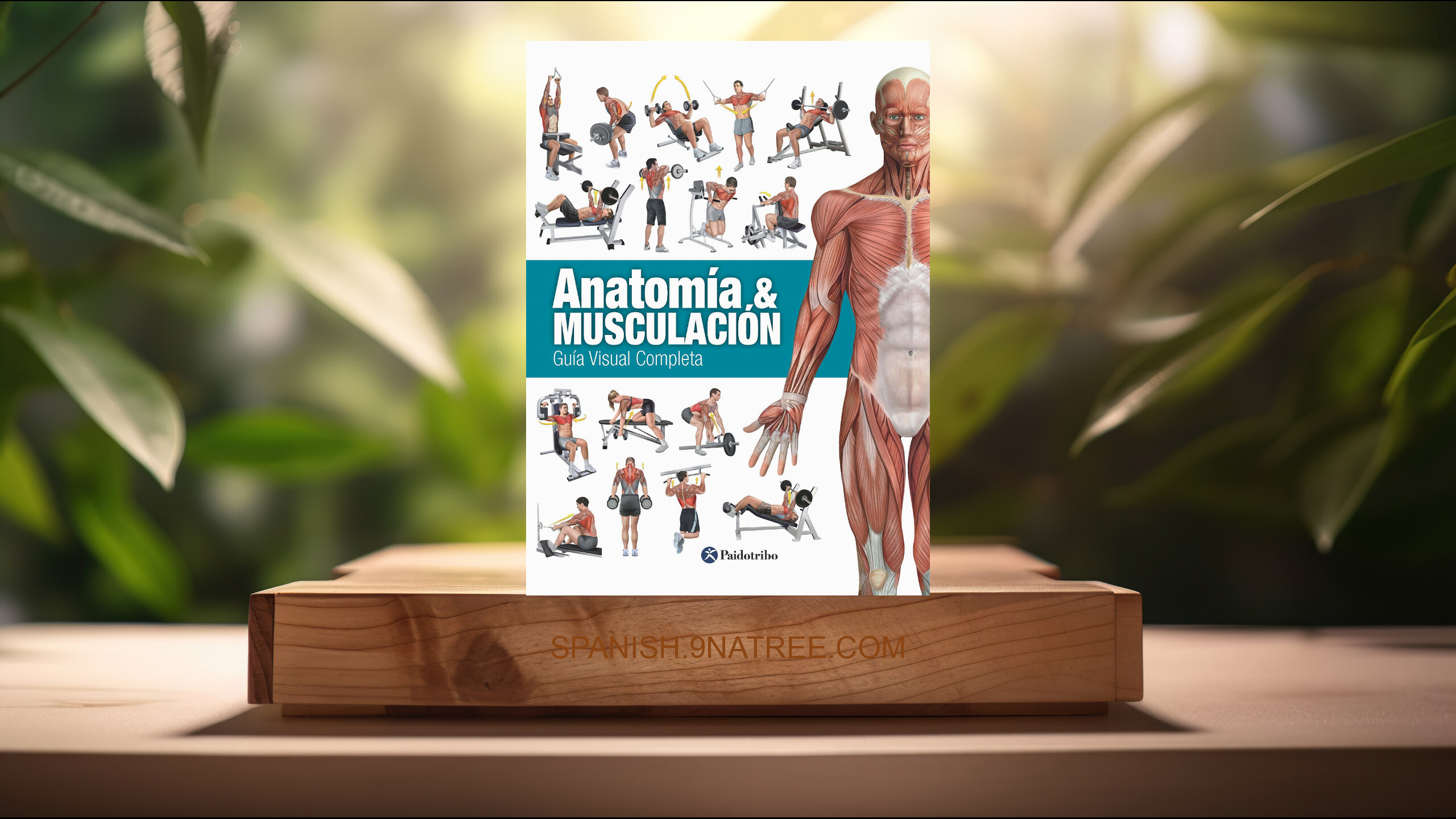 [Reseña] Anatomía &amp; Musculación: Guía visual completa (Ricardo Cánovas  Linares) Resumida.