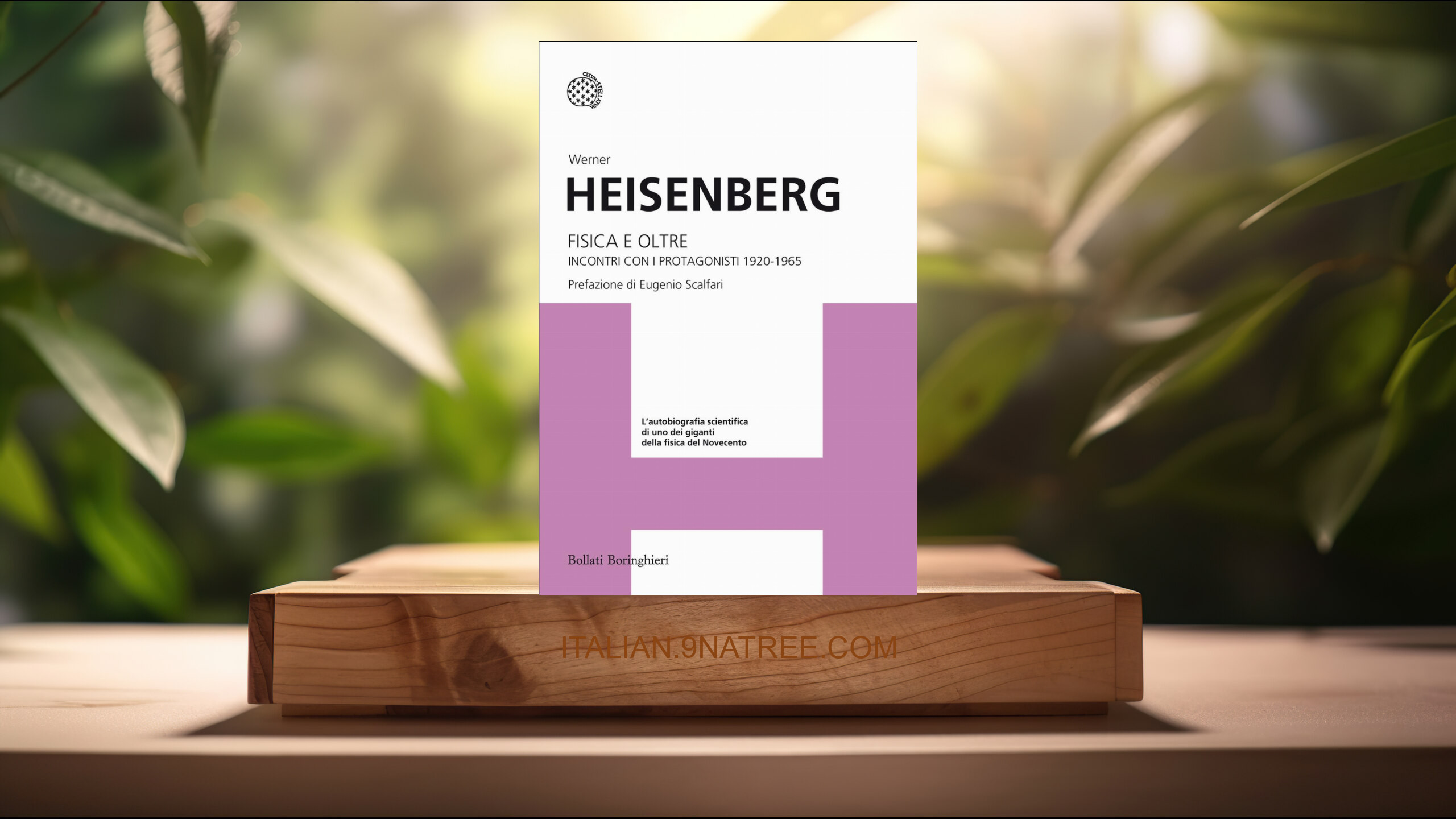 [Recensione] Fisica e oltre. Incontri con i protagonisti 1920-1965 (Werner Heisenberg) Riassunto.