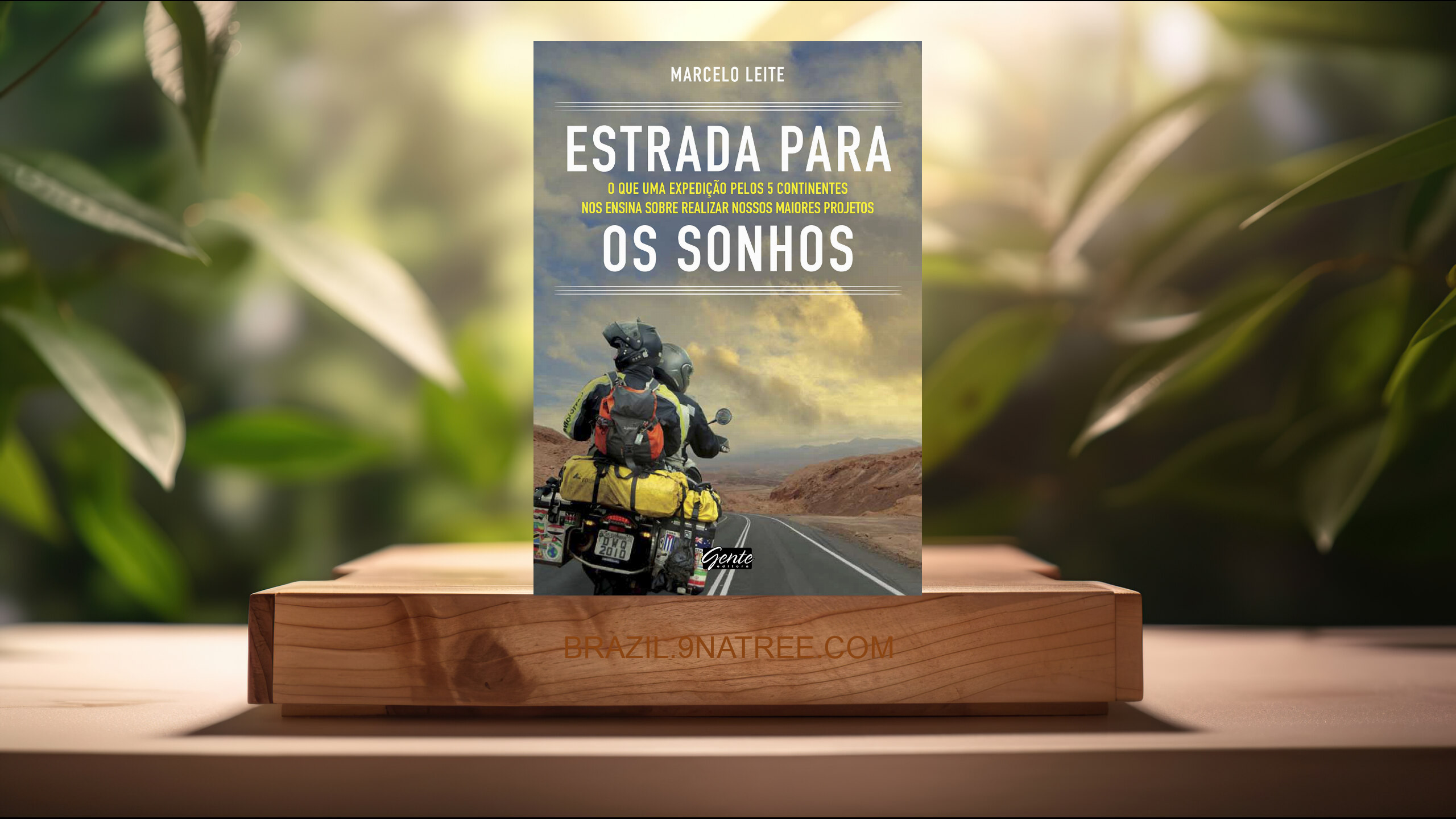 [Análises] Estrada para os sonhos (Marcelo Leite) Resumidos.
