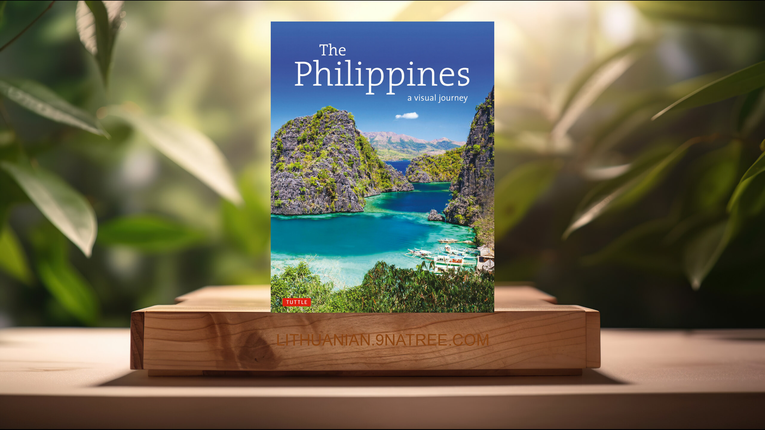 [Apžvalga] The Philippines: A Visual Journey (Elizabeth V. Reyes) Apibendrinta.