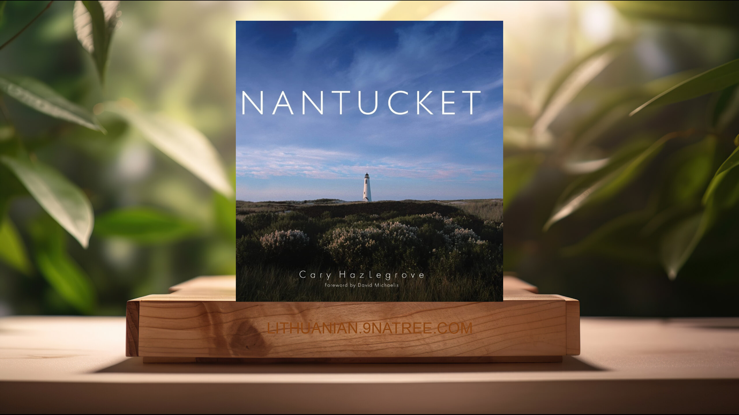 [Apžvalga] Nantucket (Cary Hazlegrove) Apibendrinta.
