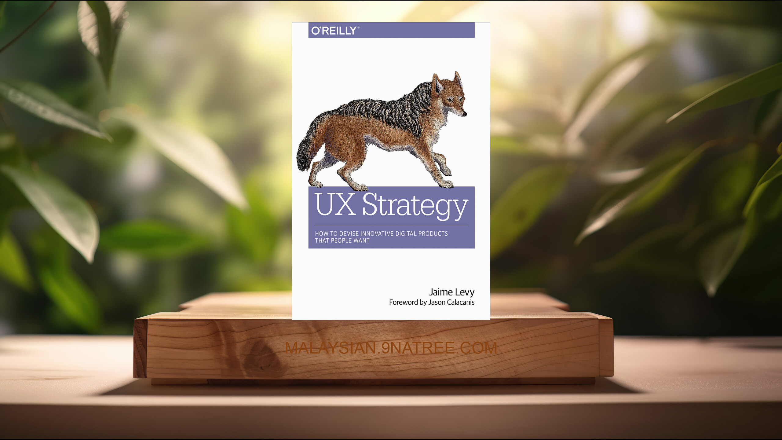 [Ulasan] UX Strategy (Jaime Levy) Diringkaskan.