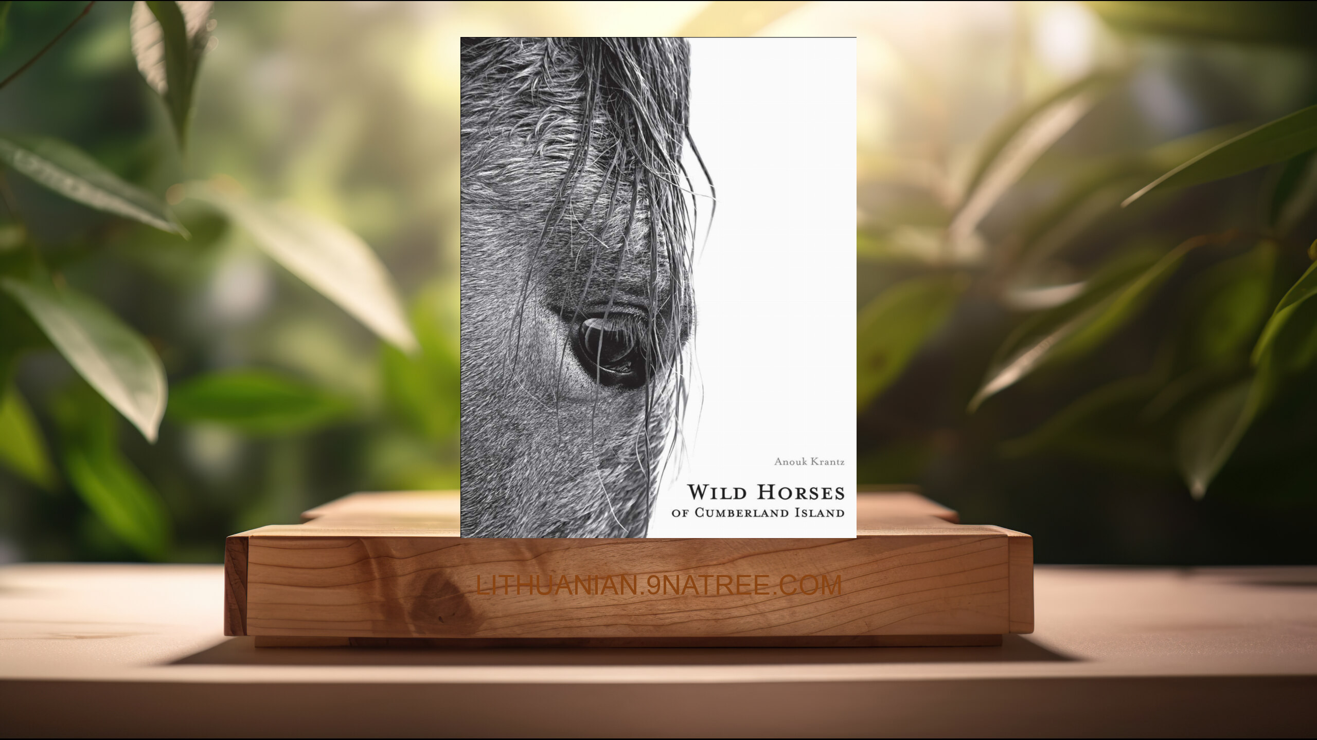 [Apžvalga] Wild Horses of Cumberland Island  (Anouk Masson Krantz) Apibendrinta.