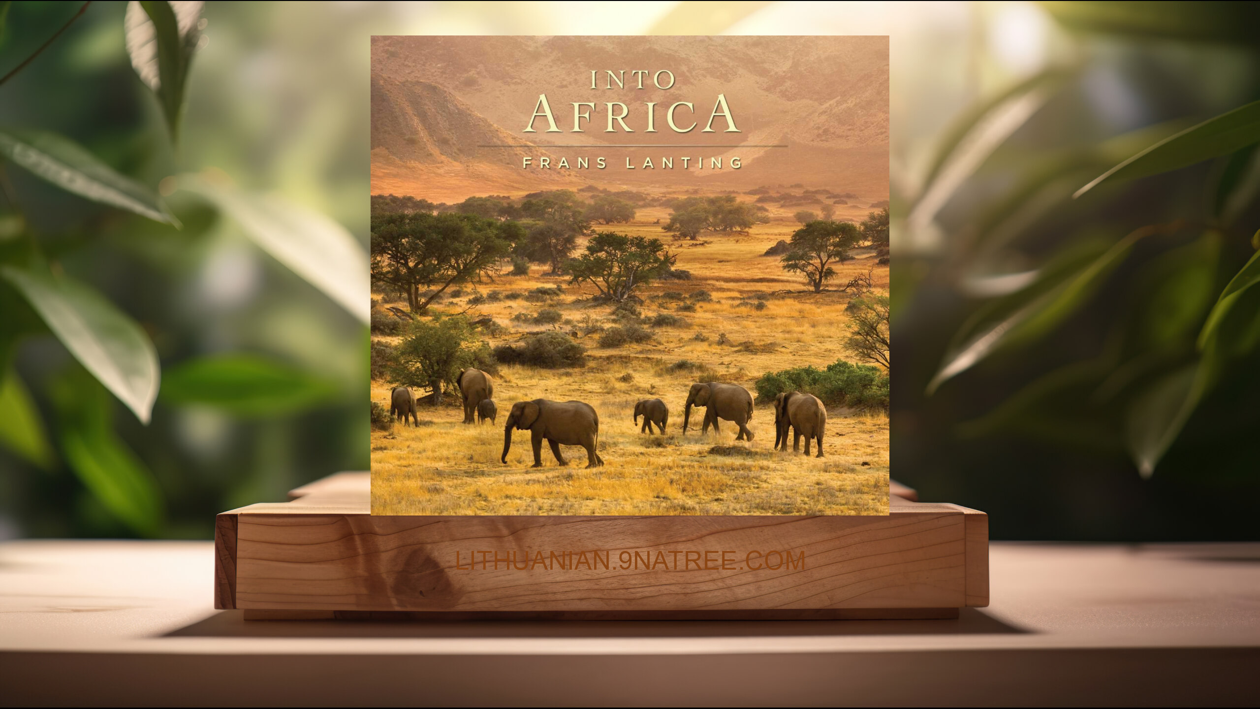[Apžvalga] Into Africa (Frans Lanting) Apibendrinta.