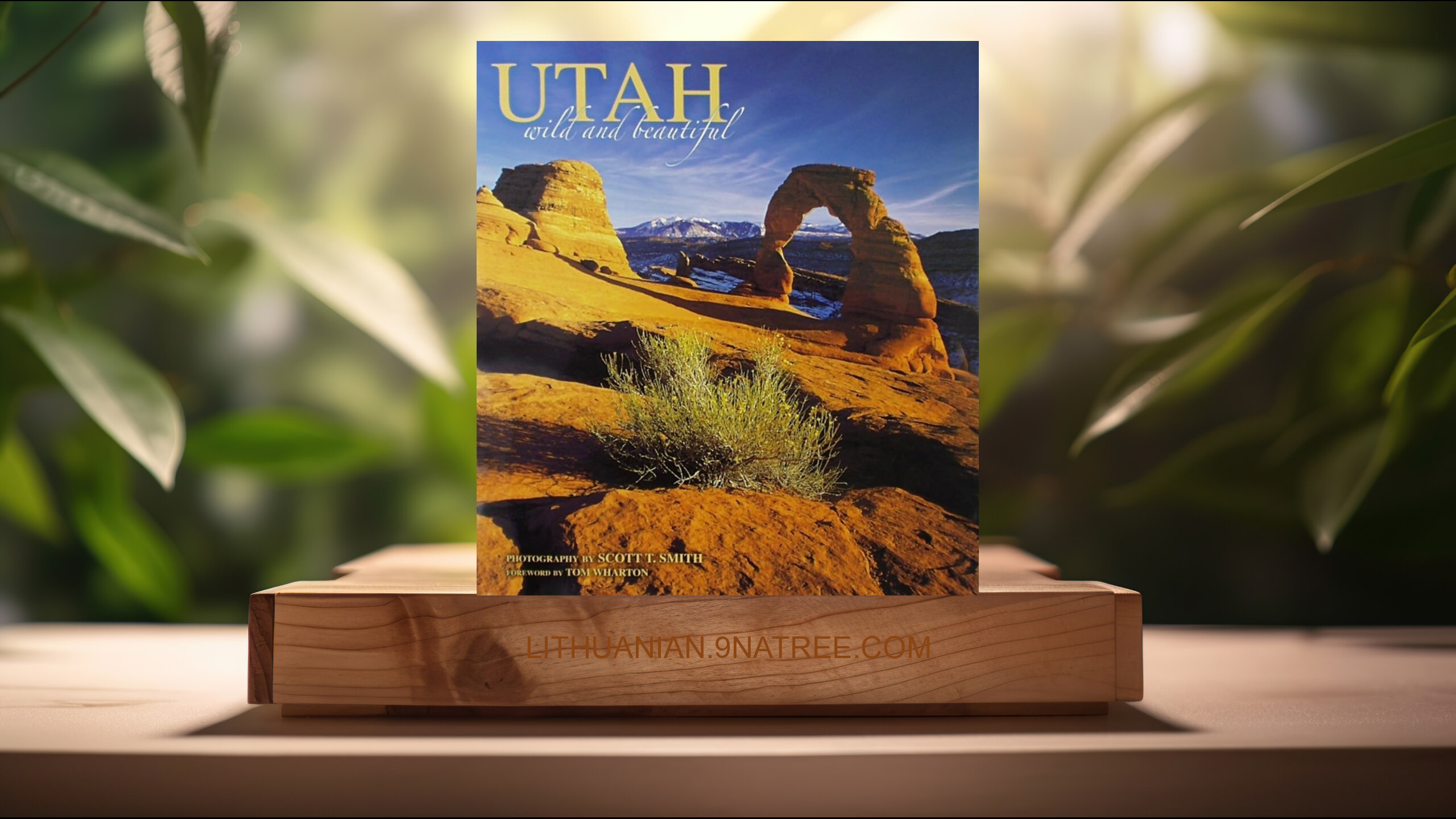 [Apžvalga] Utah Wild and Beautiful (Scott T. Smith) Apibendrinta.