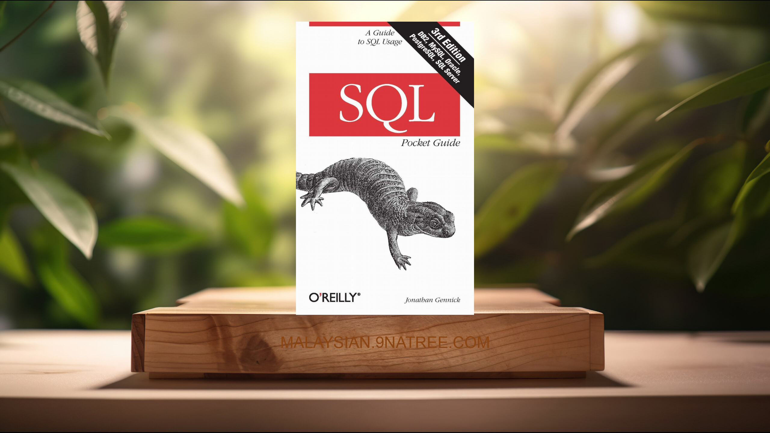 [Ulasan] SQL Pocket Guide: A Guide to SQL Usage (Jonathan Gennick) Diringkaskan.