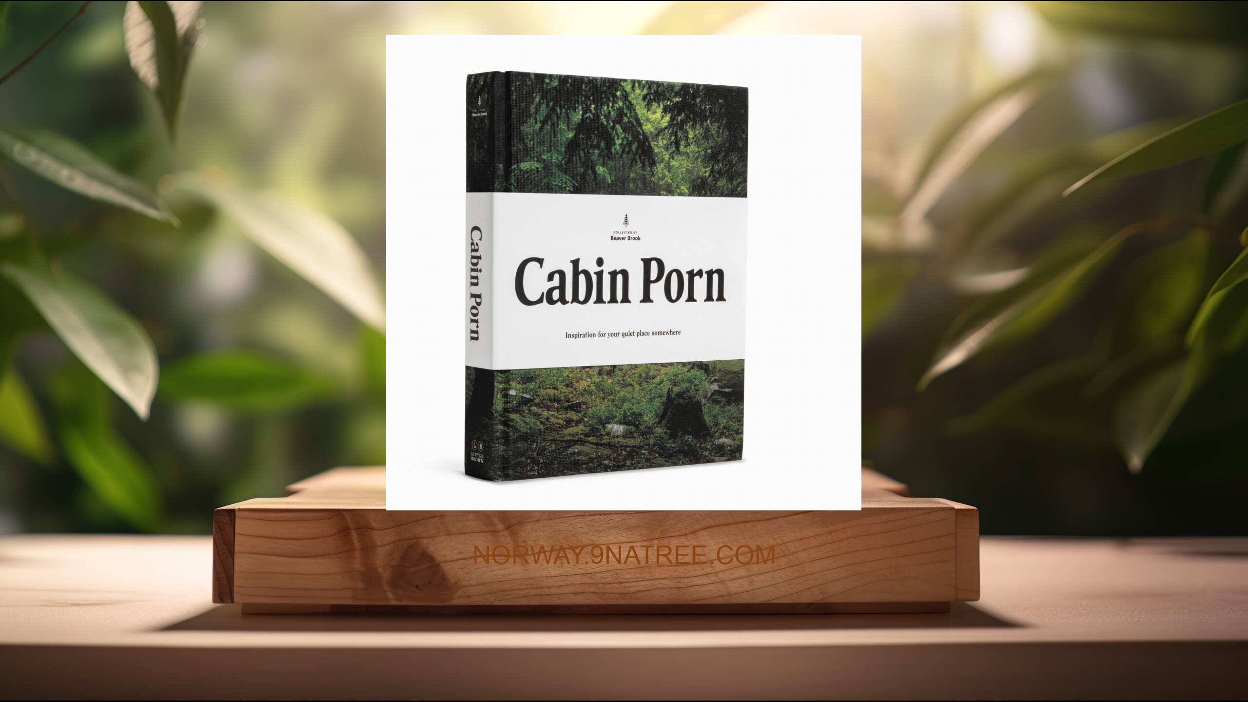 [Anmeldelse] Cabin Porn: Inspiration for Your Quiet Place Somewhere (Zach Klein) Oppsummert. episode artwork