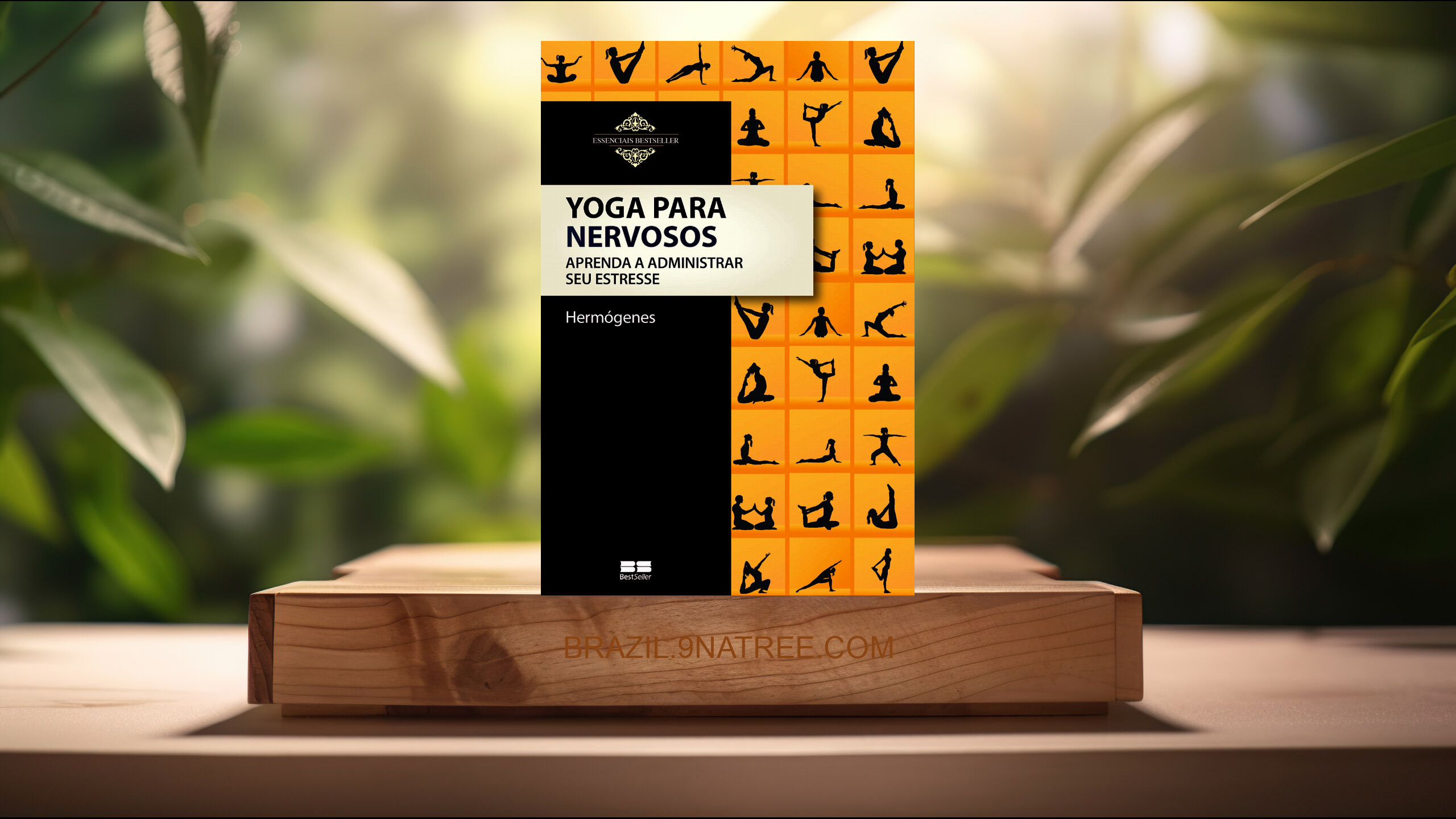 [Análises] Yoga para nervosos (José Hermógenes) Resumidos.