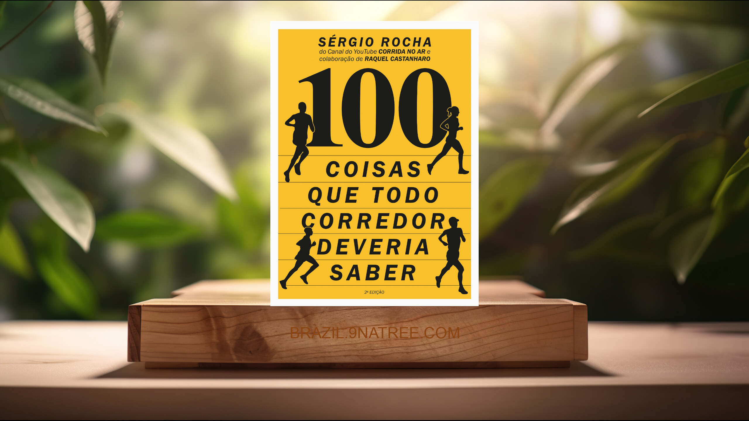 [Análises] 100 Coisas Que Todo Corredor Deveria Saber (Sergio Rocha) Resumidos.