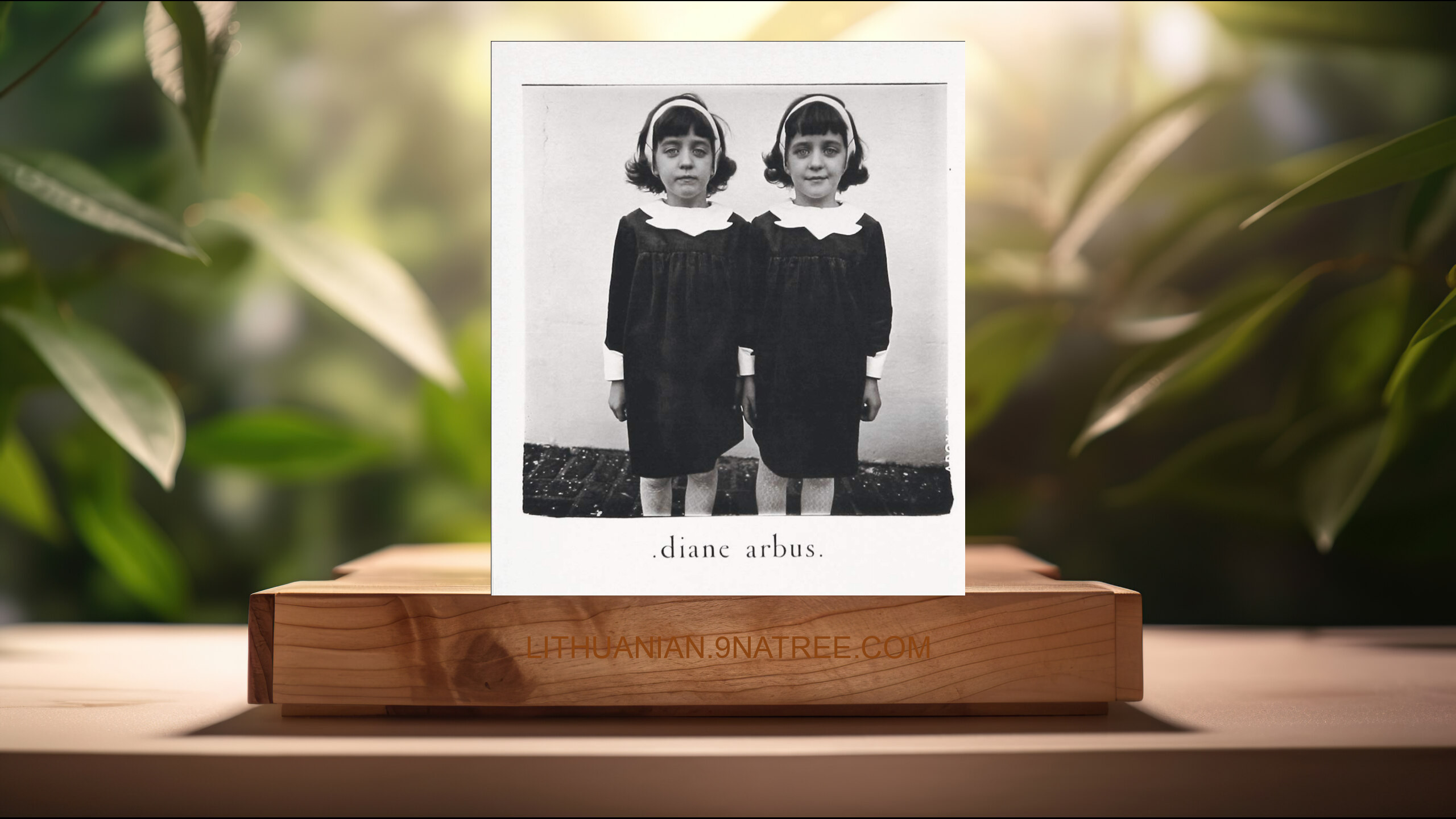 [Apžvalga] Diane Arbus: An Aperture Monograph: Fortieth-Anniversary Edition (Marvin Israel) Apibendrinta.