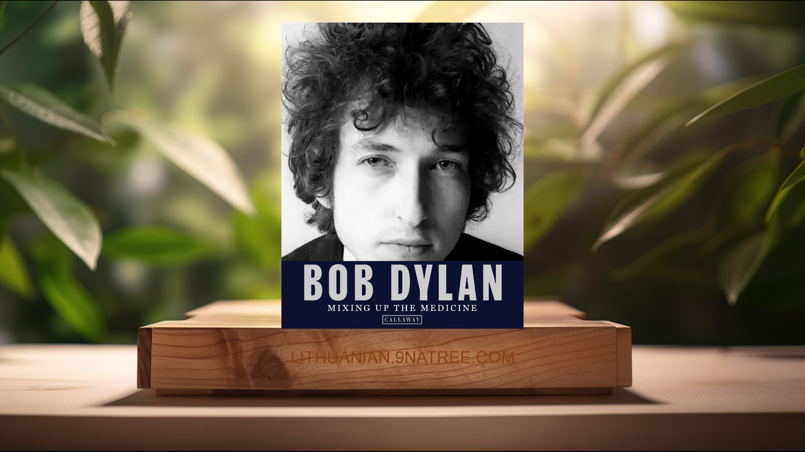 [Apžvalga] Bob Dylan: Mixing up the Medicine (Mark Davidson) Apibendrinta.