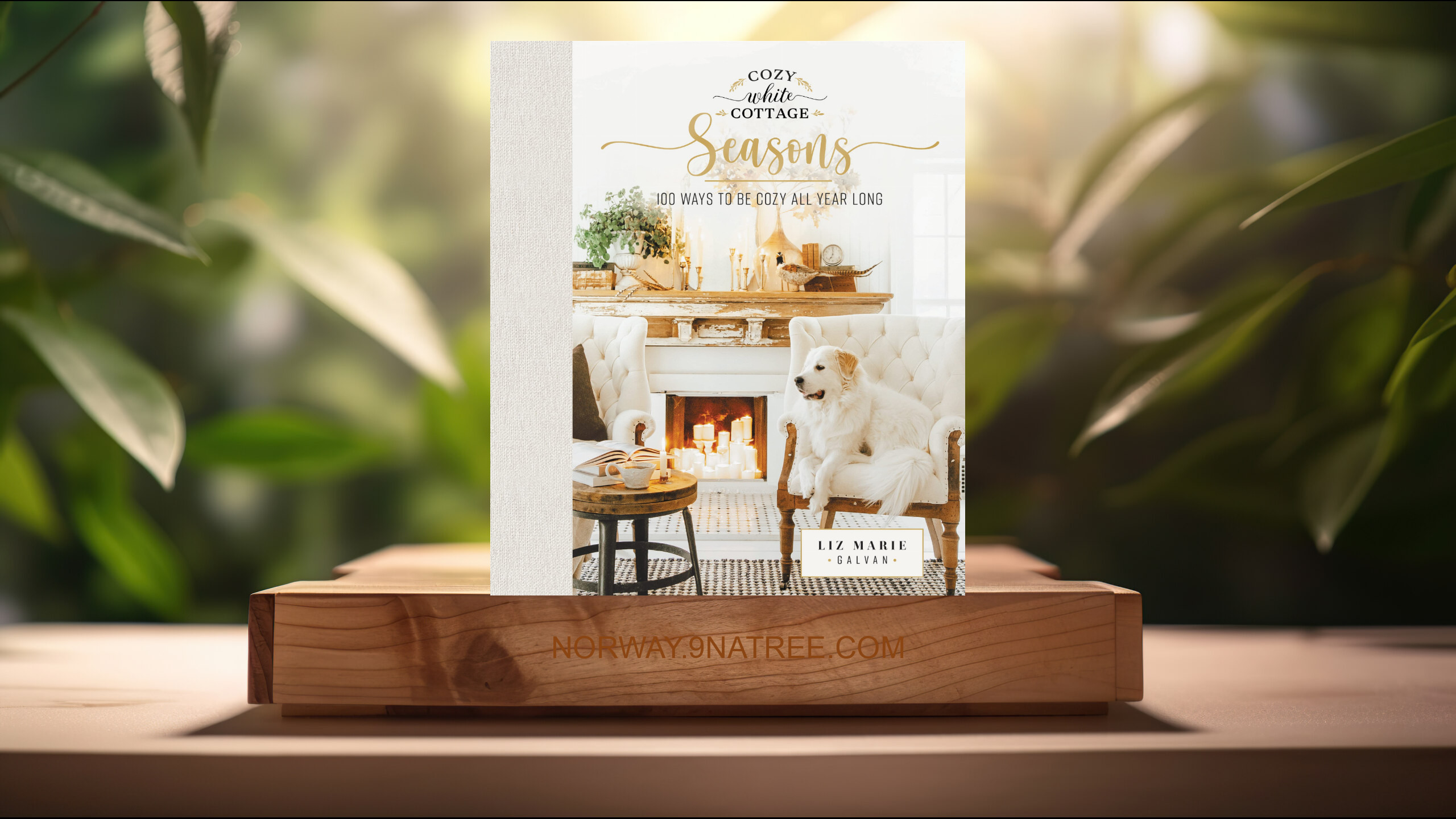 [Anmeldelse] Cozy White Cottage Seasons (Liz Marie Galvan) Oppsummert. episode artwork