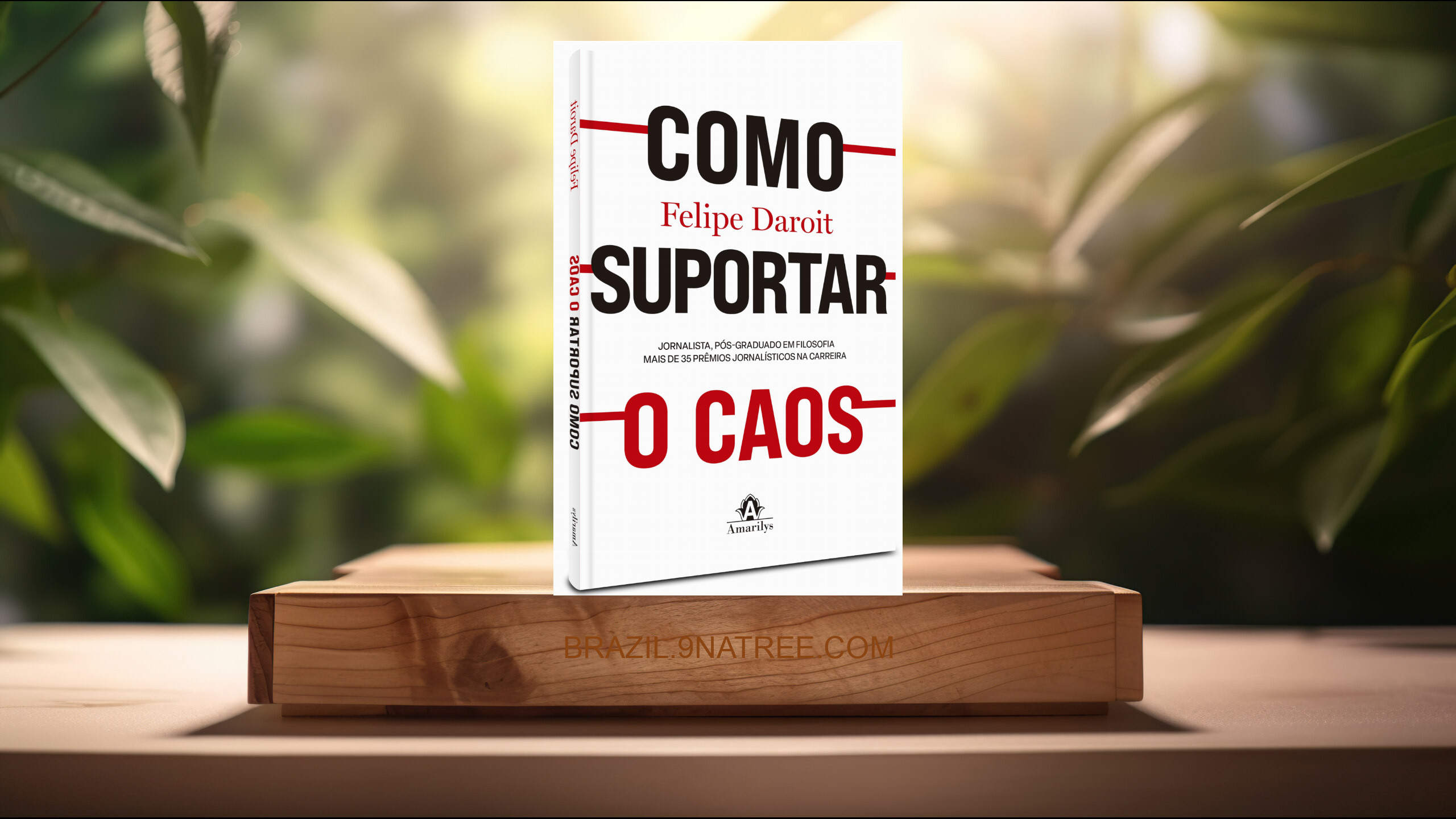 [Análises] Como suportar o caos (Felipe Daroit) Resumidos.
