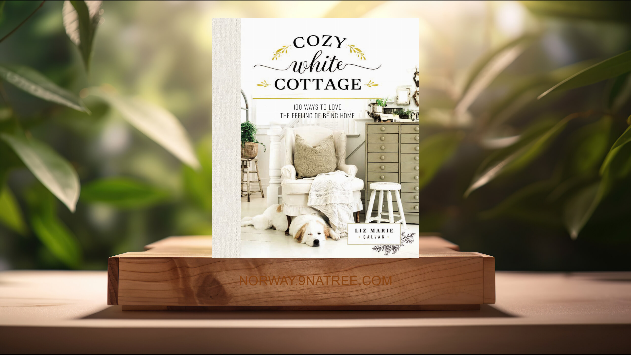 [Anmeldelse] Cozy White Cottage (Liz Marie Galvan) Oppsummert. episode artwork
