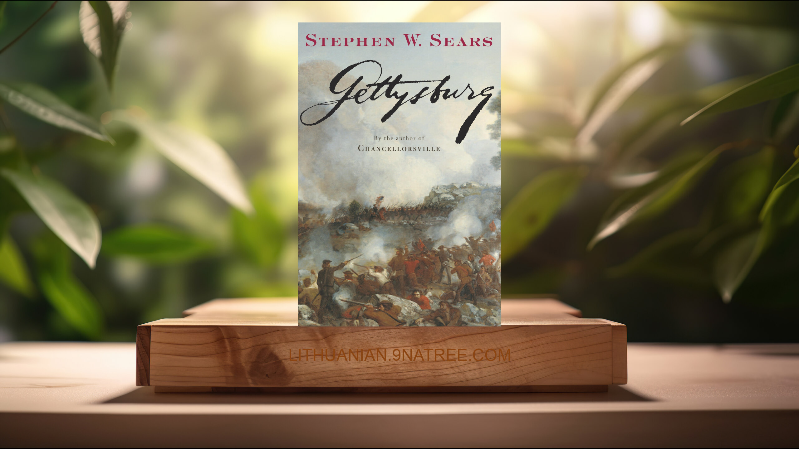 [Apžvalga] Gettysburg (Stephen W. Sears) Apibendrinta.