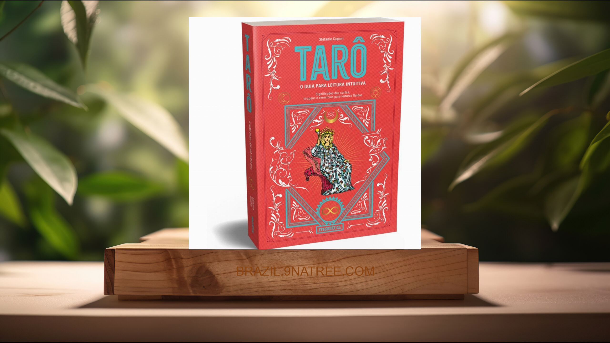 [Análises] Tarô - O guia para leitura intuitiva (Stefanie Caponi) Resumidos.