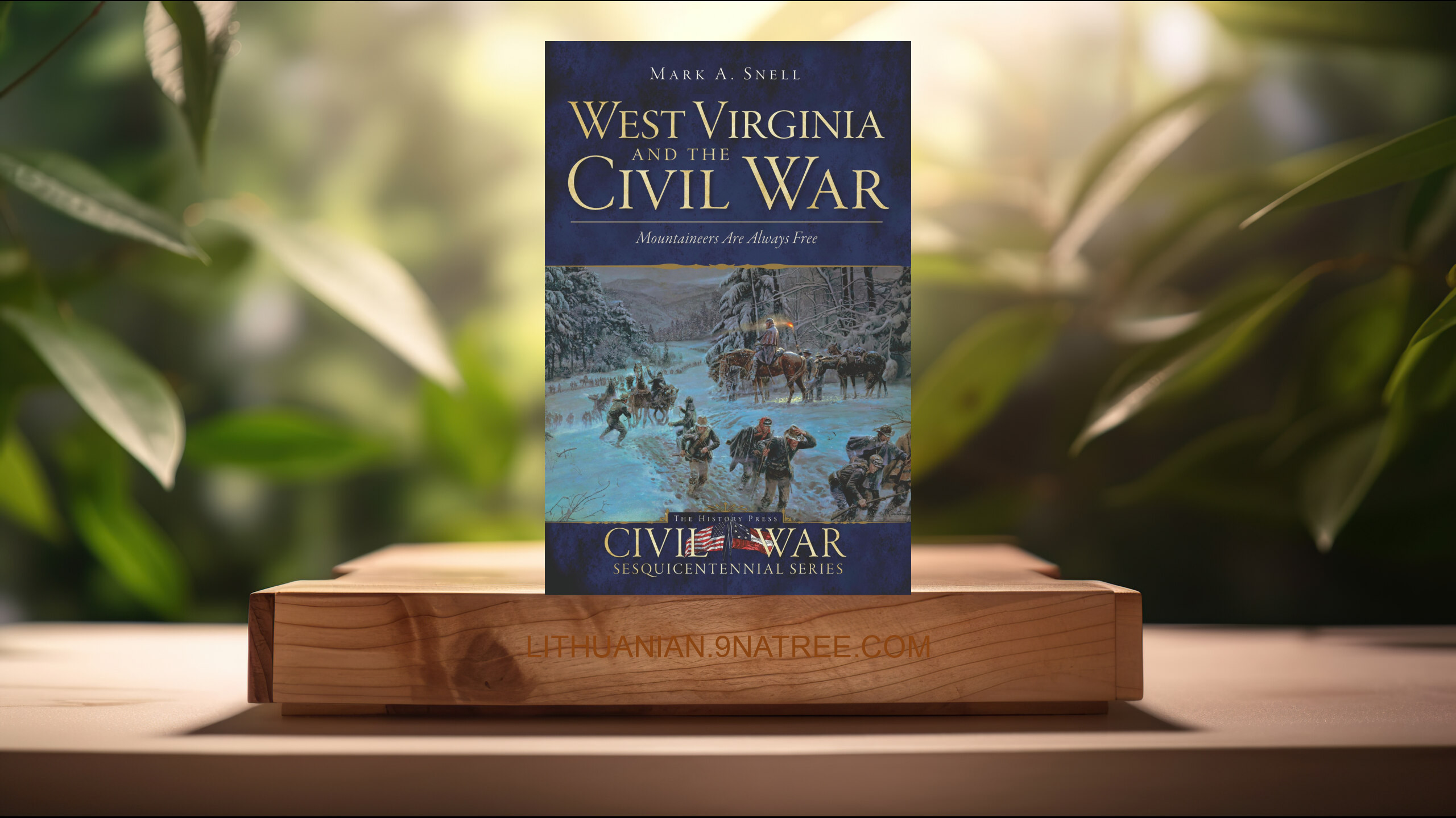 [Apžvalga] West Virginia and the Civil War: Mountaineers Are Always Free  (Mark A Snell) Apibendrinta.