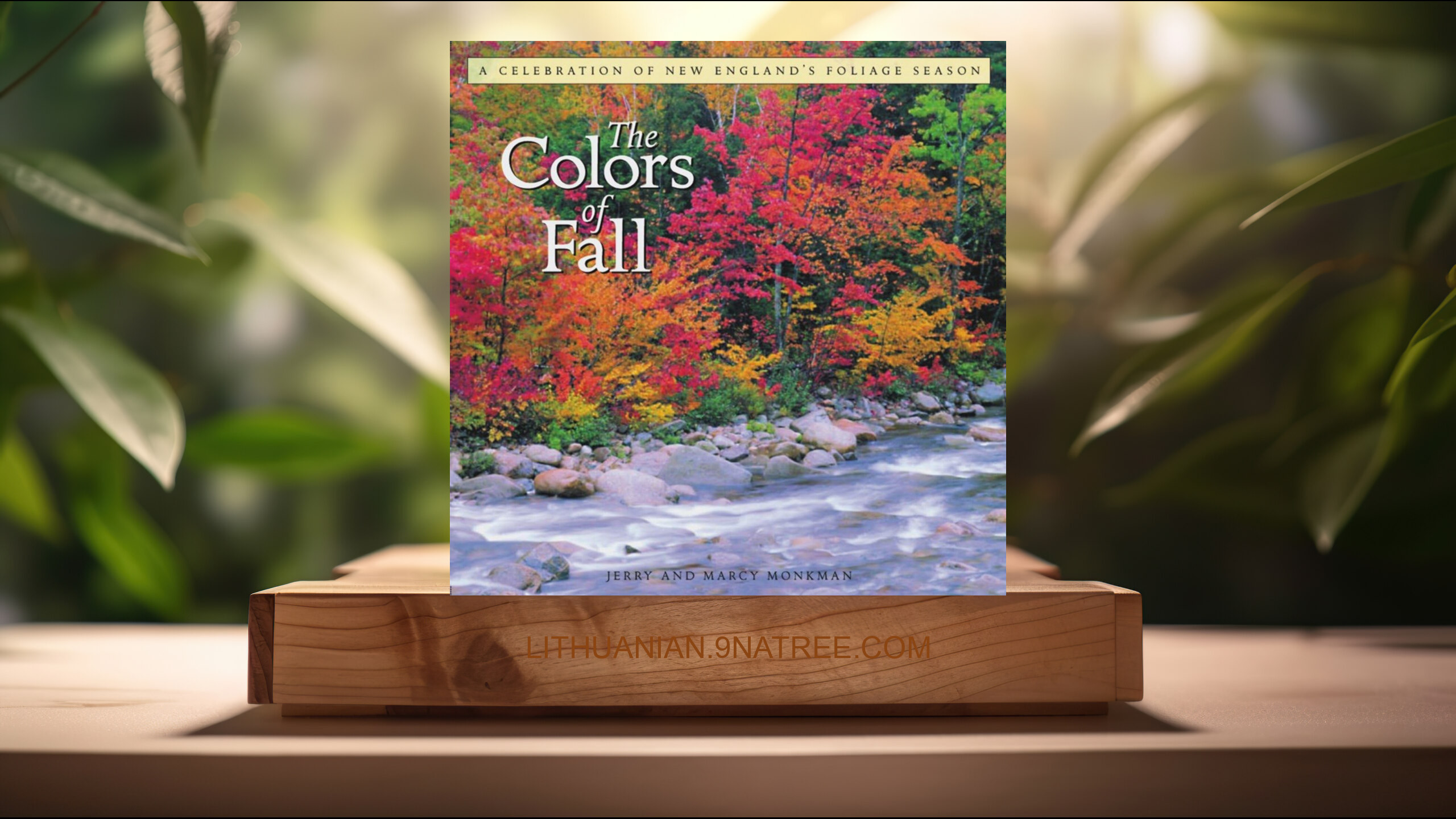 [Apžvalga] The Colors of Fall: A Celebration of New England's Foliage Season (Jerry Monkman) Apibendrinta.
