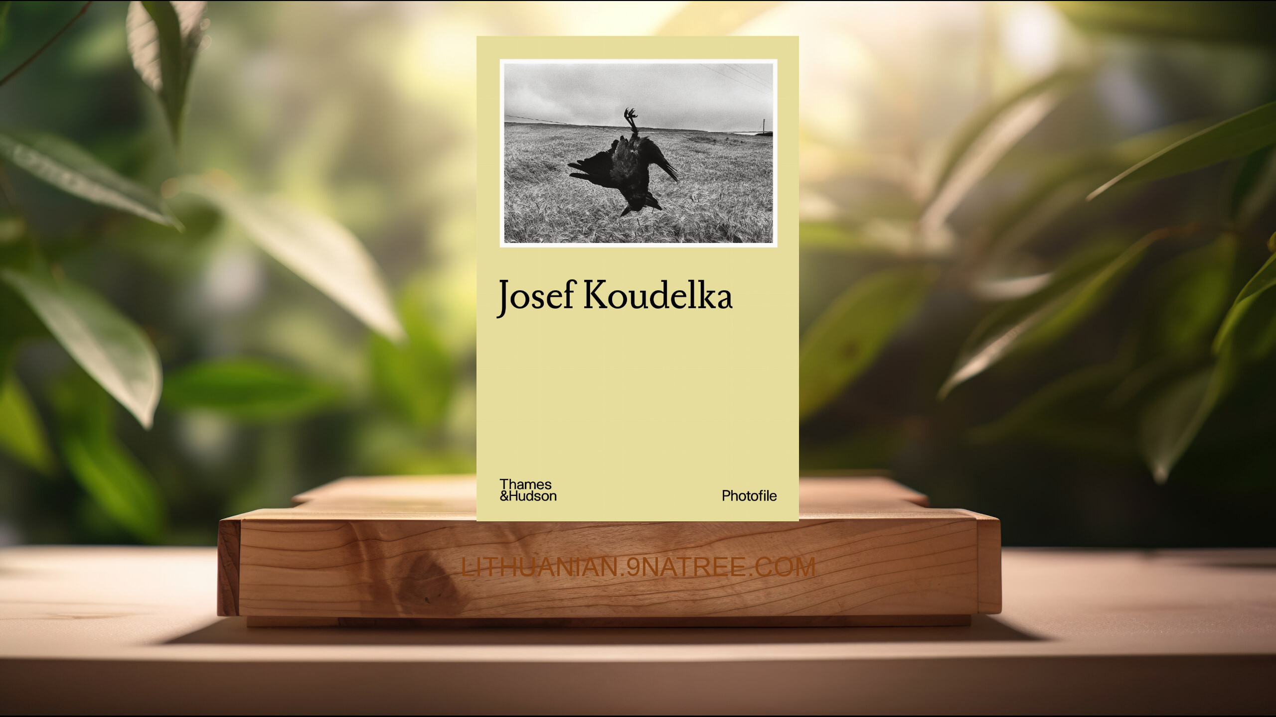 [Apžvalga] Josef Koudelka  (Josef Koudelka) Apibendrinta.