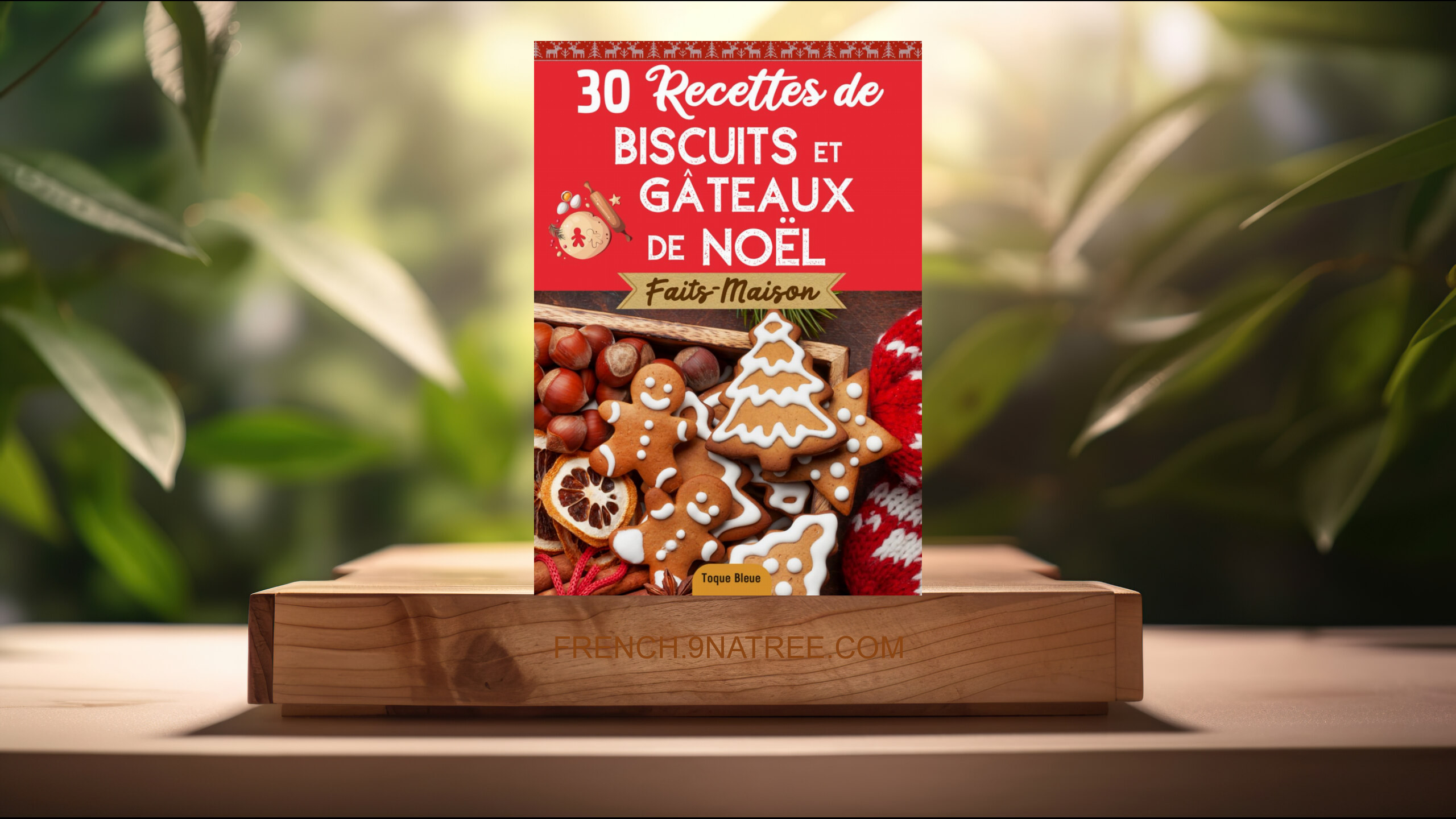 [Critique] Mes recettes de Biscuits et Gâteaux de Noël (Toque Bleue) Résumé.