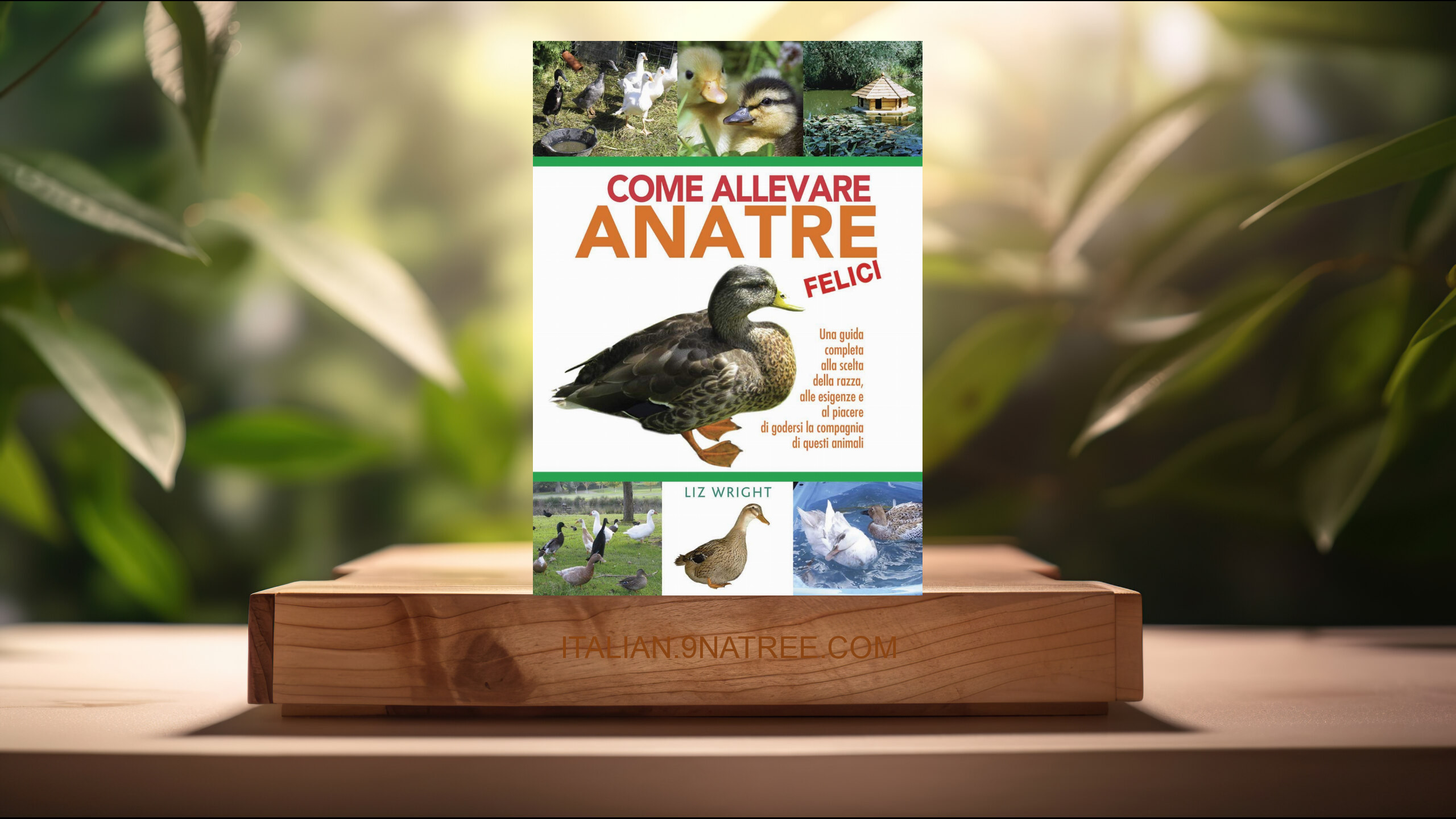 [Recensione] Come allevare anatre felici (Liz Wright) Riassunto.