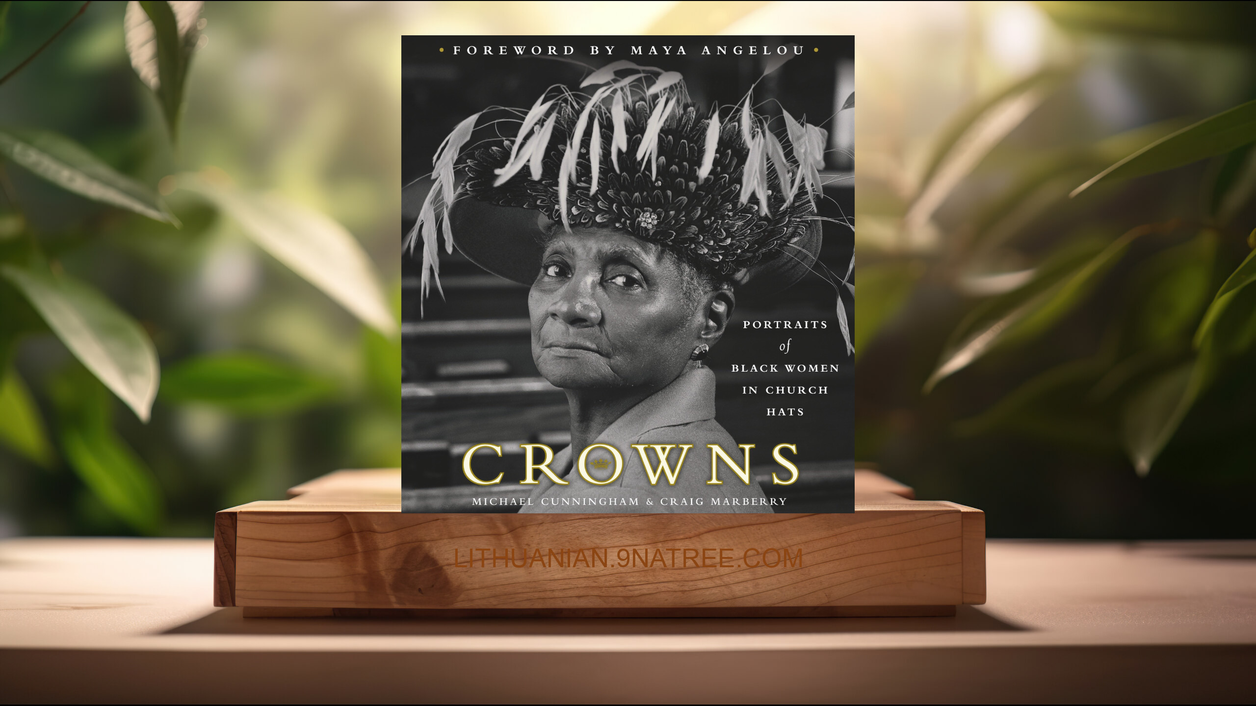 [Apžvalga] Crowns: Portraits of Black Women in Church Hats (Michael Cunningham) Apibendrinta.