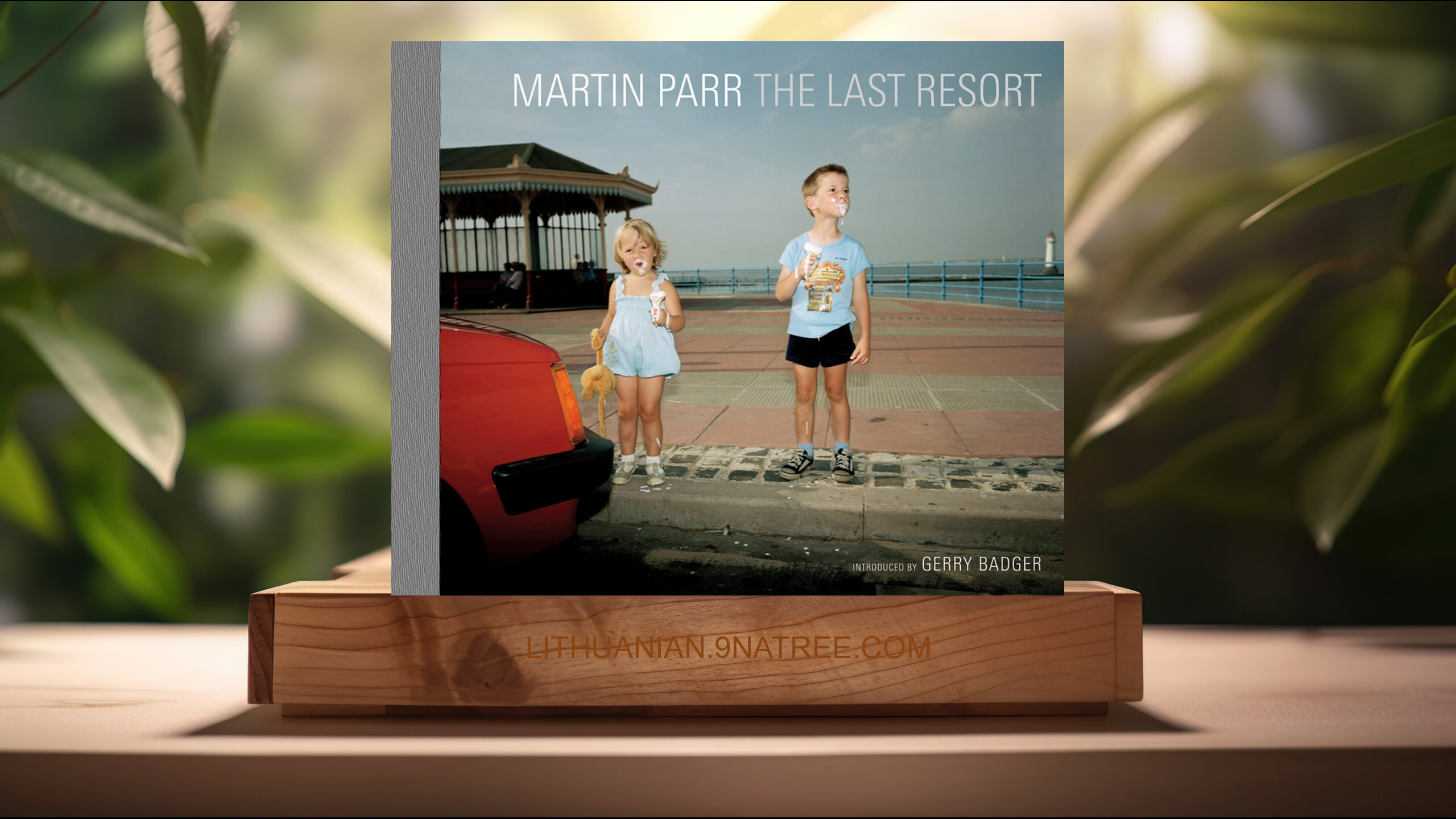 [Apžvalga] The Last Resort (Martin Parr) Apibendrinta.