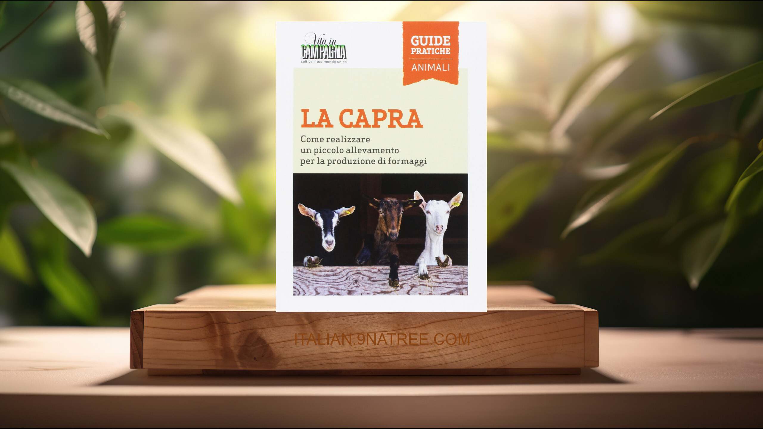 [Recensione] La capra. Come realizzare un piccolo allevamento per la produzione di formaggi (Marcello Volanti) Riassunto.