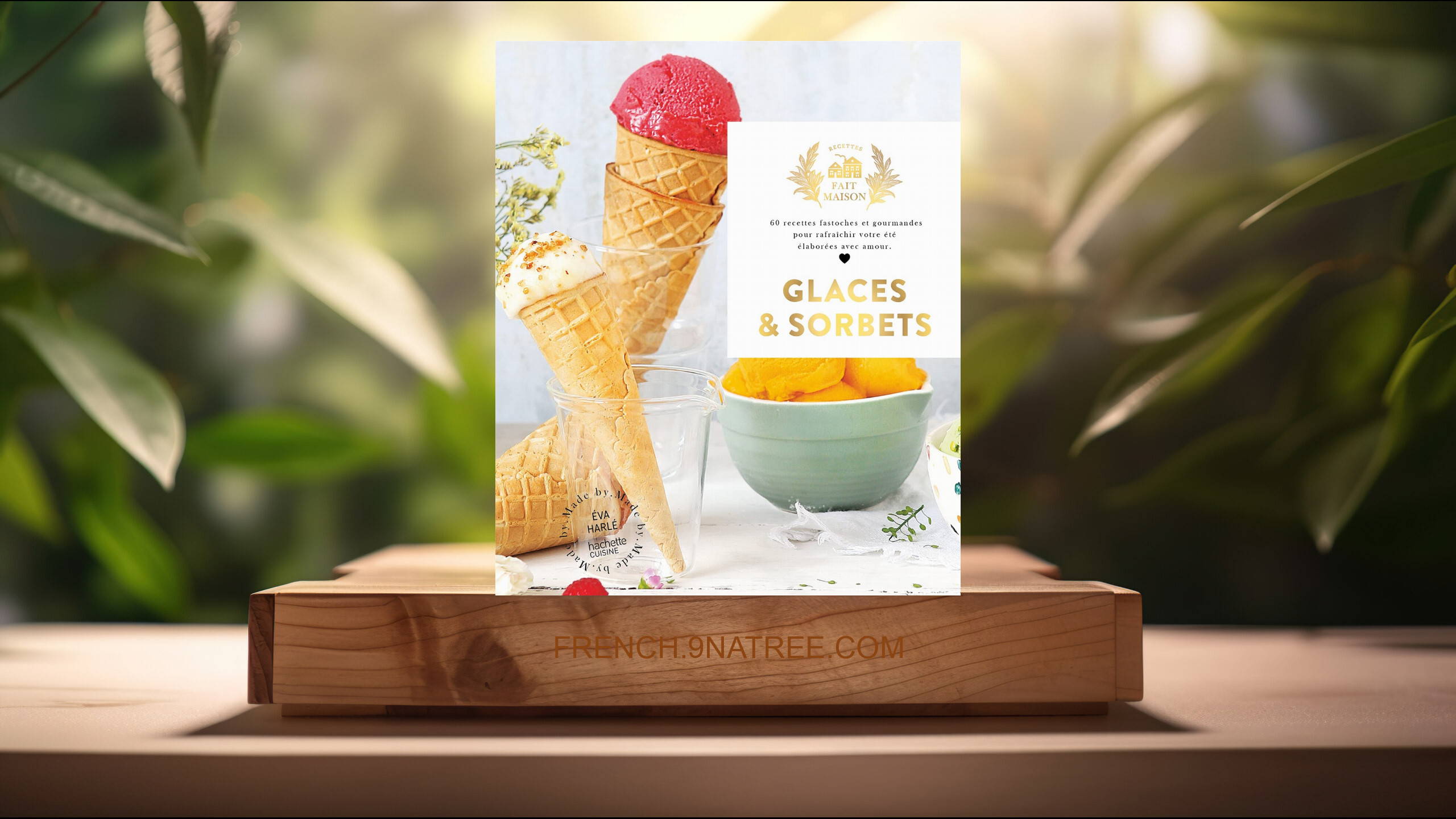 [Critique] Glaces et Sorbets (Eva Harlé) Résumé.