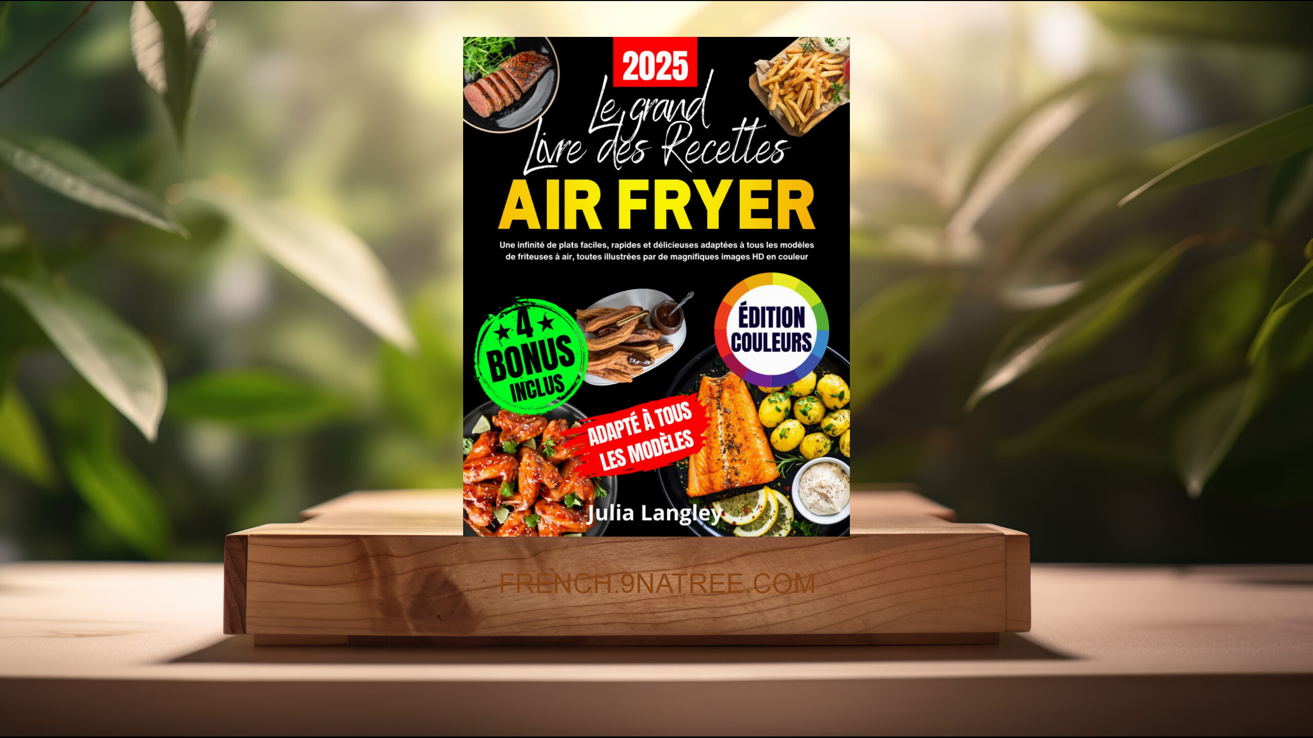 [Critique] Le Grand Livre des Recettes Air Fryer [ÉDITION EN COULEURS] (Julia Langley) Résumé.