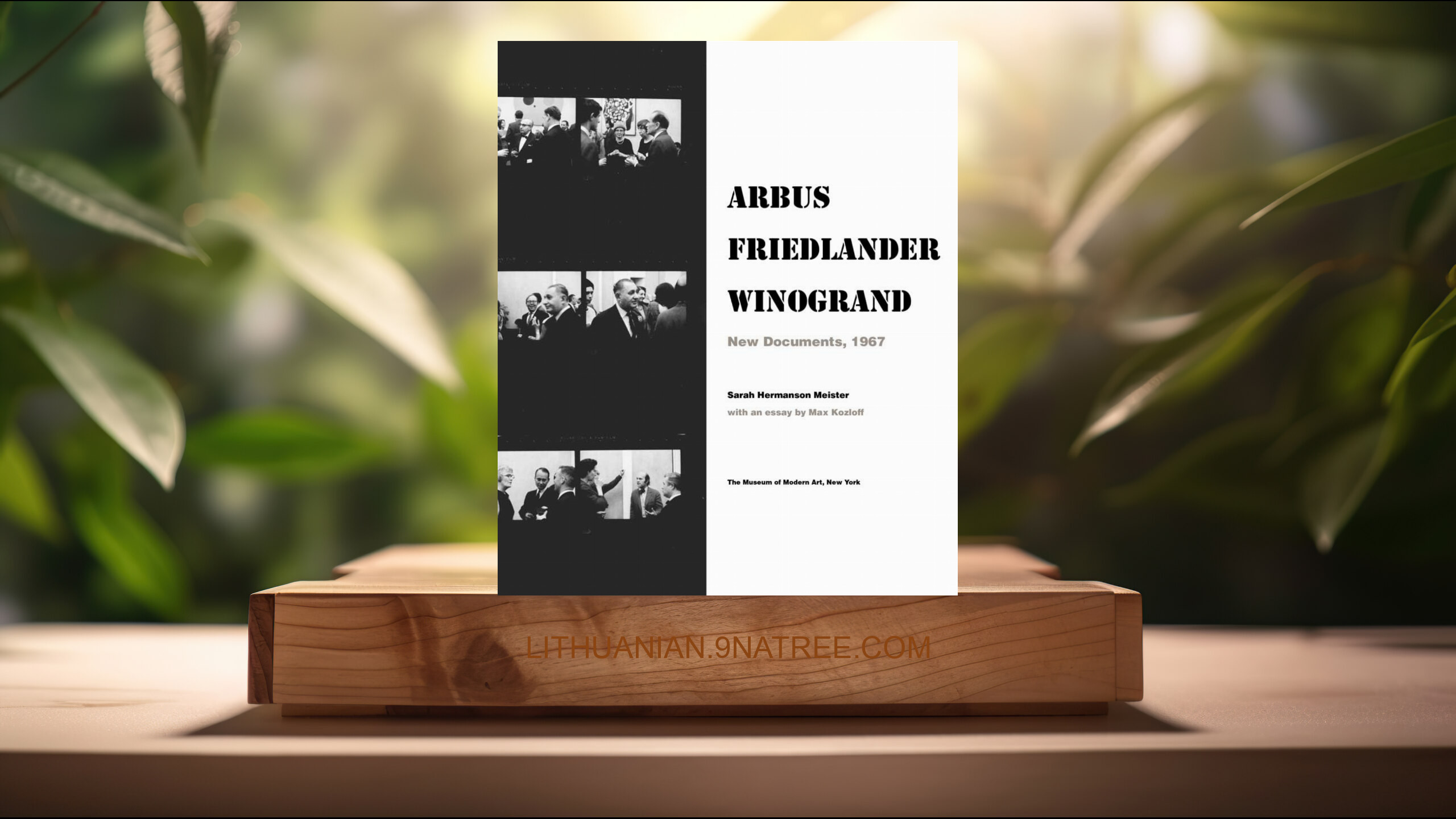 [Apžvalga] Arbus Friedlander Winogrand: New Documents, 1967 (Diane Arbus) Apibendrinta.