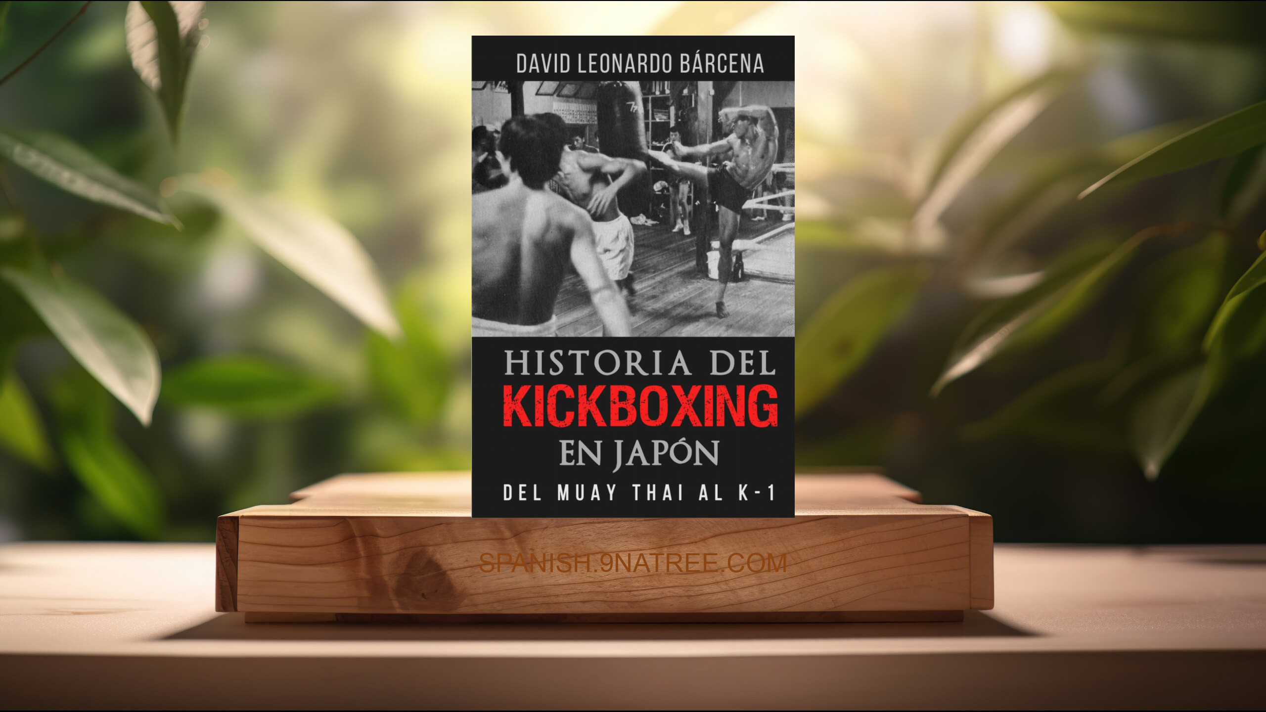 [Reseña] HISTORIA DEL KICKBOXING EN JAPÓN: DEL MUAY THAI AL K-1 (David Leonardo Bárcena) Resumida.