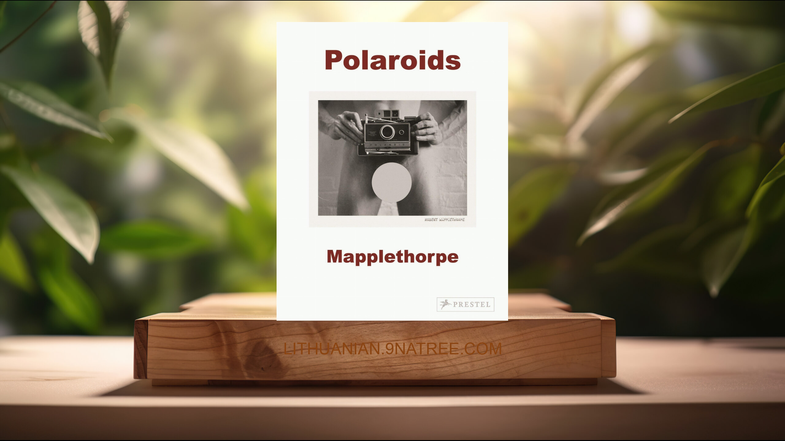 [Apžvalga] Robert Mapplethorpe: Polaroids (Sylvia Wolf) Apibendrinta.