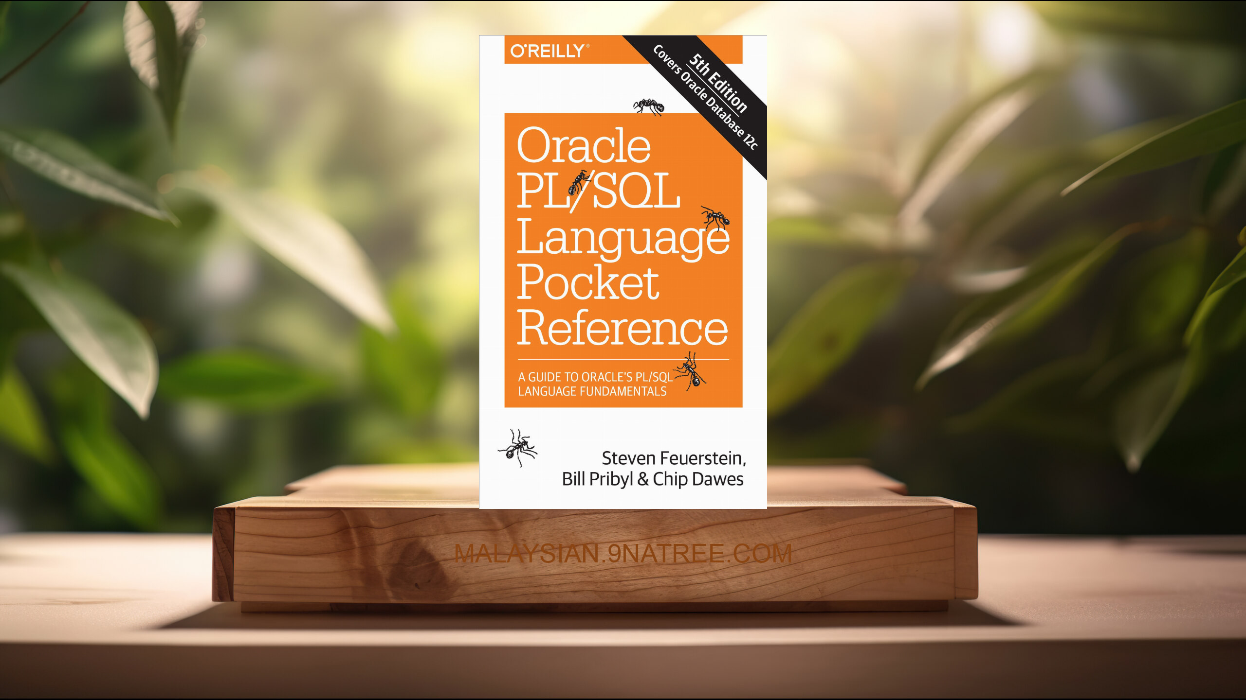[Ulasan] Oracle PL/SQL Language Pocket Reference (Steven Feuerstein) Diringkaskan.