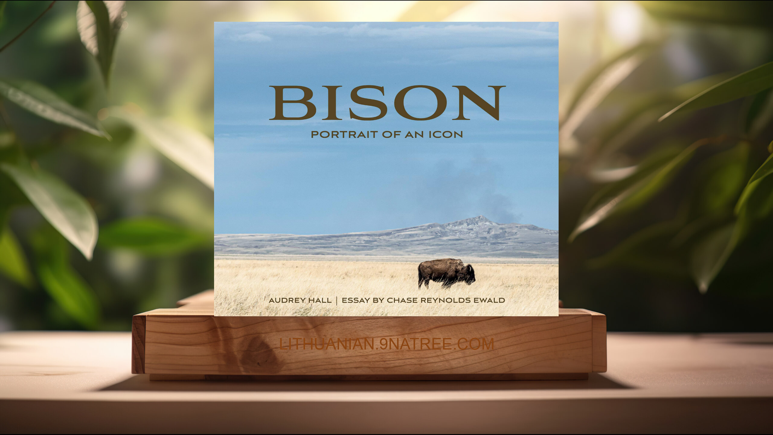 [Apžvalga] Bison: Portrait of an Icon  (Chase Reynolds Ewald) Apibendrinta.