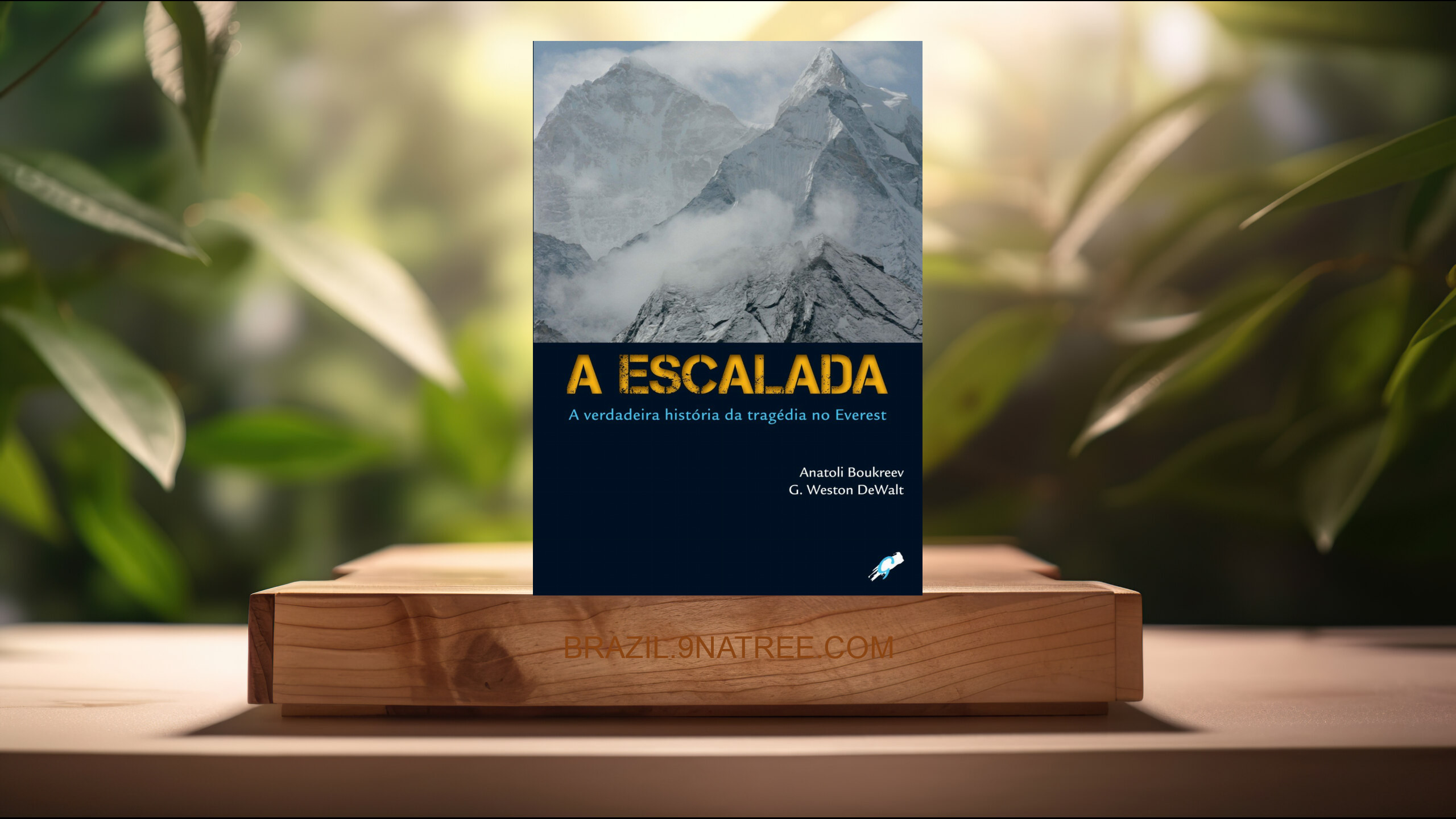 [Análises] A escalada: a verdadeira história da tragédia no everest (Anatoli Boukreev) Resumidos.