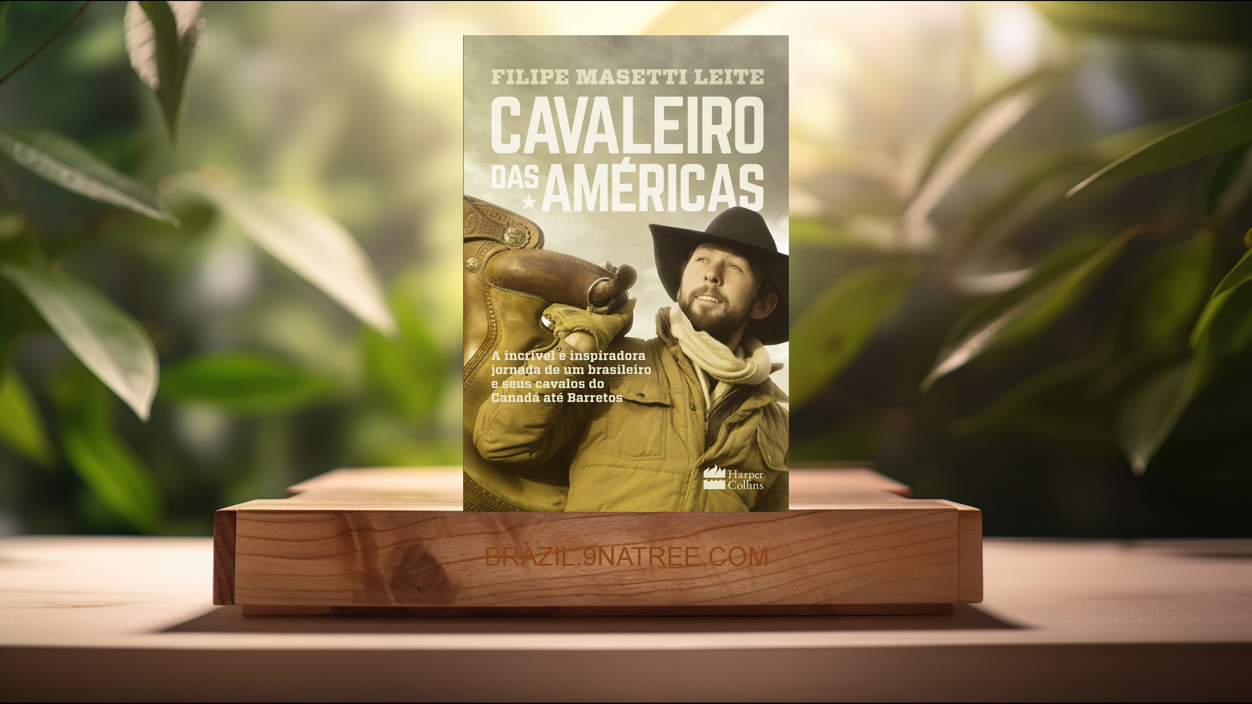 [Análises] Cavaleiro das américas (Filipe Masetti Leite) Resumidos.