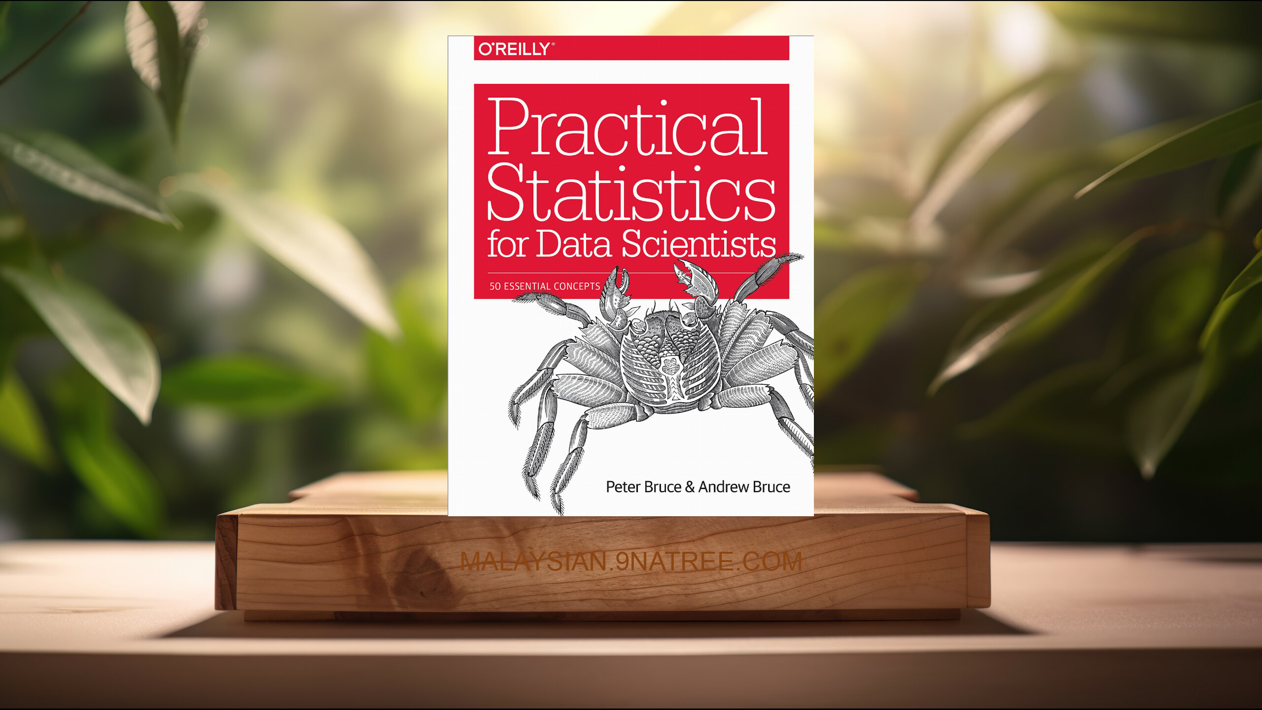 [Ulasan] Practical Statistics for Data Scientists: 50 Essential Concepts (Peter Bruce) Diringkaskan.