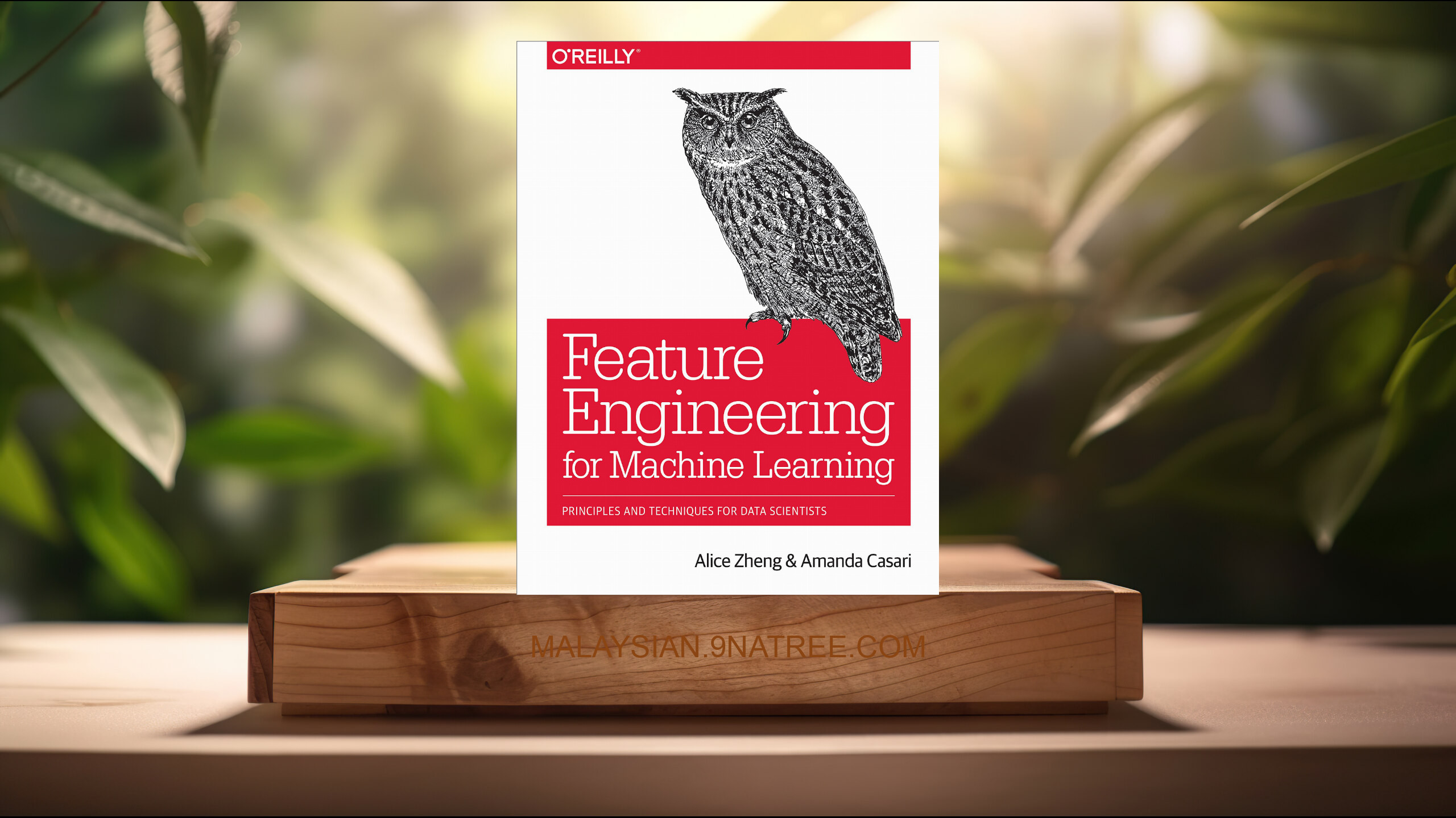 [Ulasan] Feature Engineering for Machine Learning (Alice Zheng) Diringkaskan.