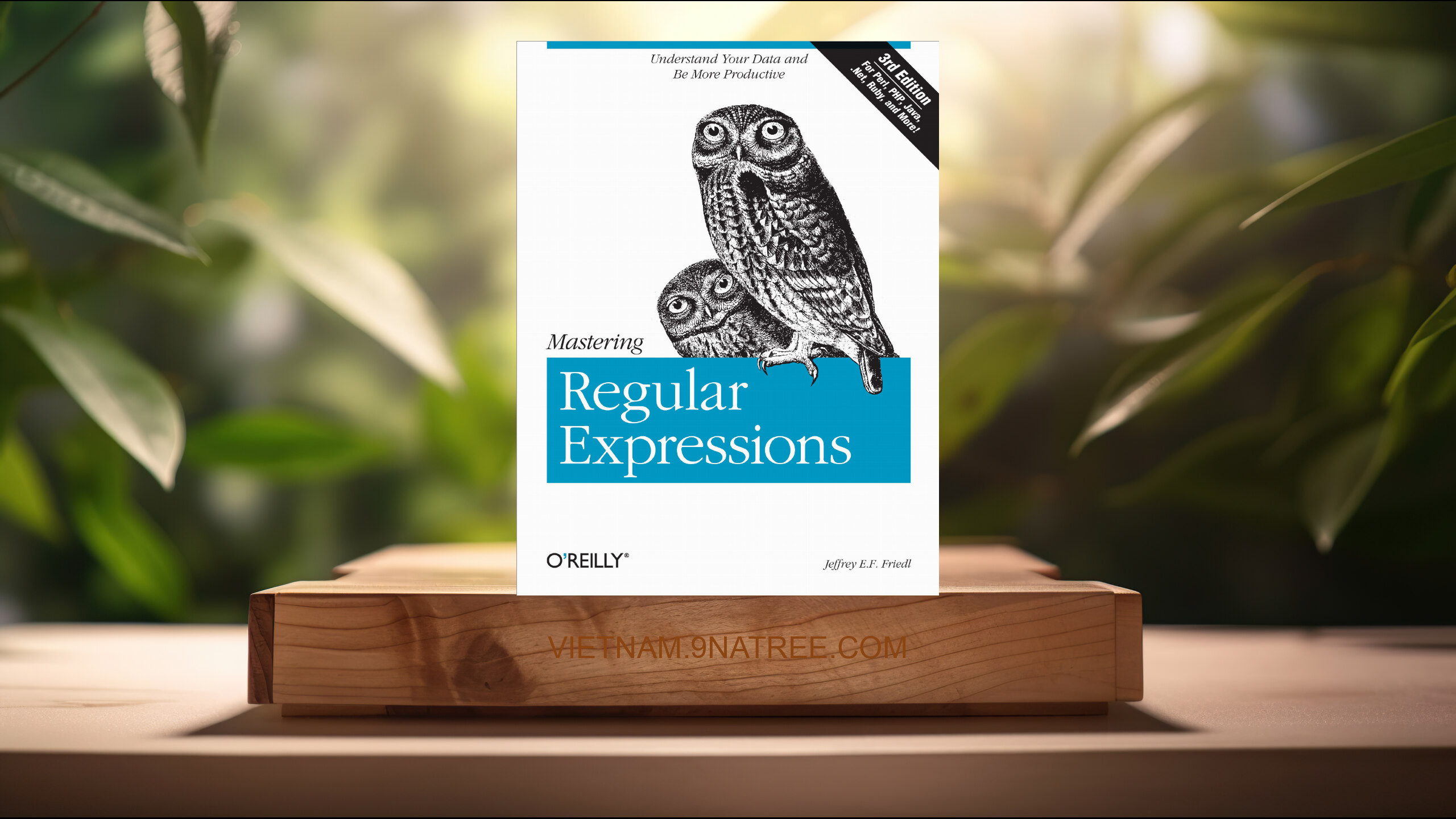 [Đánh giá] Mastering Regular Expressions (Jeffrey E. F. Friedl) Tóm tắt.