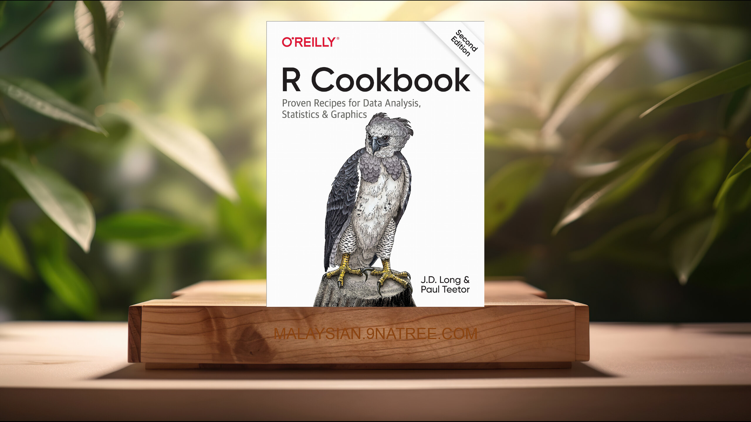 [Ulasan] R Cookbook: Proven Recipes for Data Analysis, Statistics, and Graphics (JD Long) Diringkaskan.