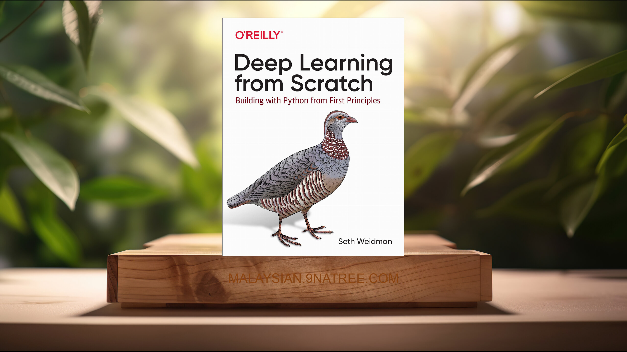 [Ulasan] Deep Learning from Scratch: Building with Python from First Principles (Seth Weidman) Diringkaskan.