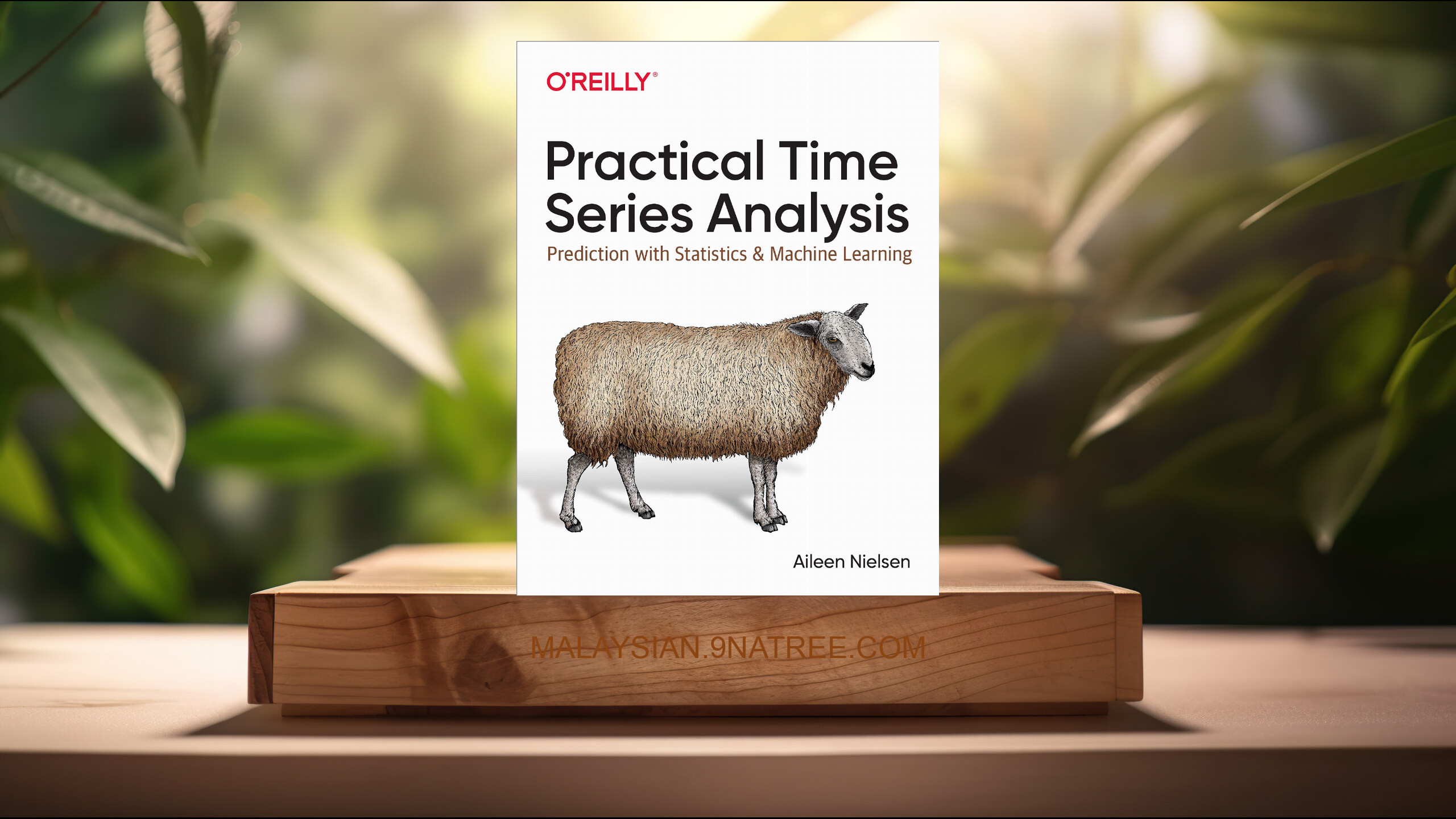 [Ulasan] Practical Time Series Analysis (Aileen Nielsen) Diringkaskan.