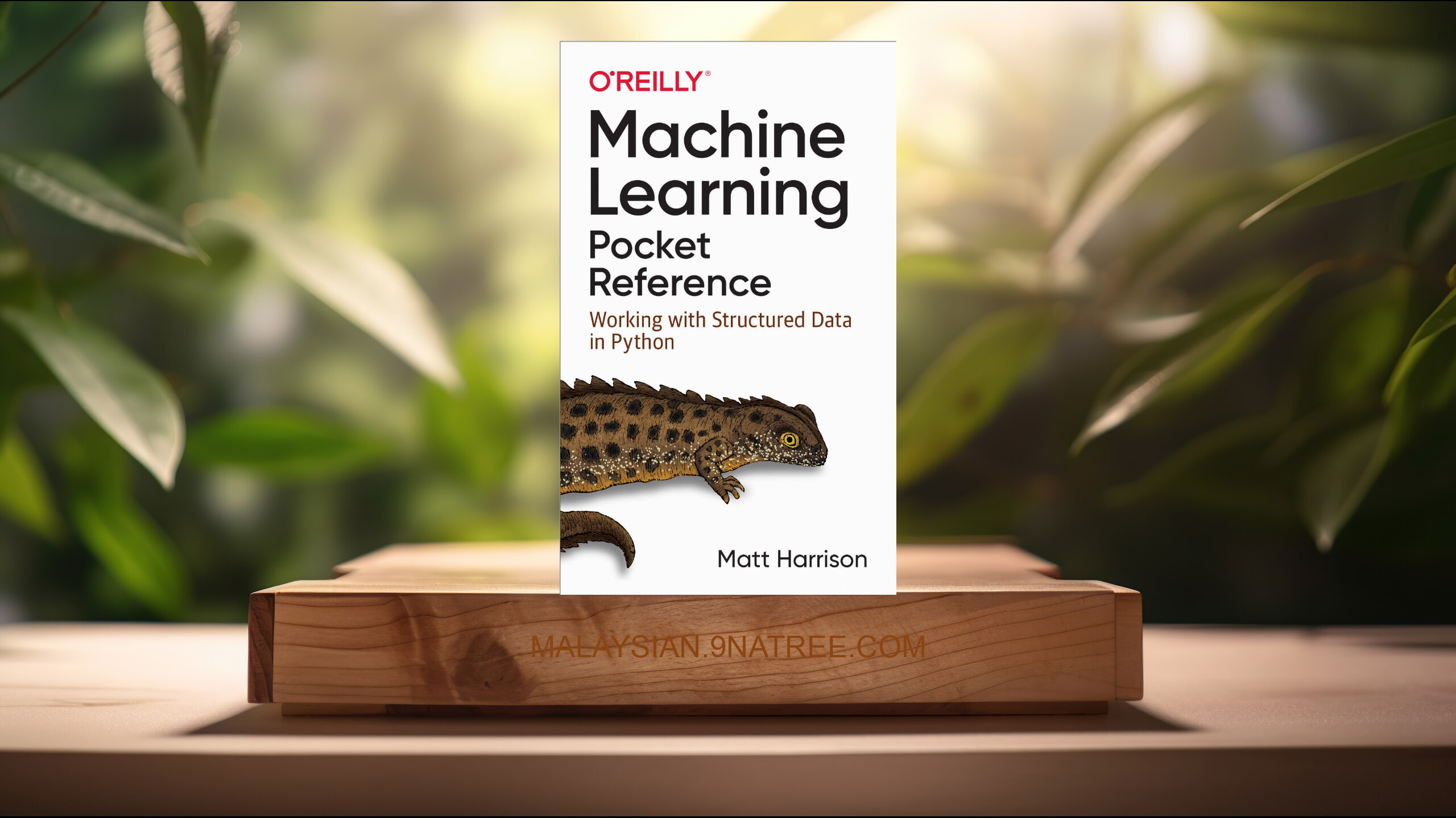 [Ulasan] Machine Learning Pocket Reference (Matt Harrison) Diringkaskan.